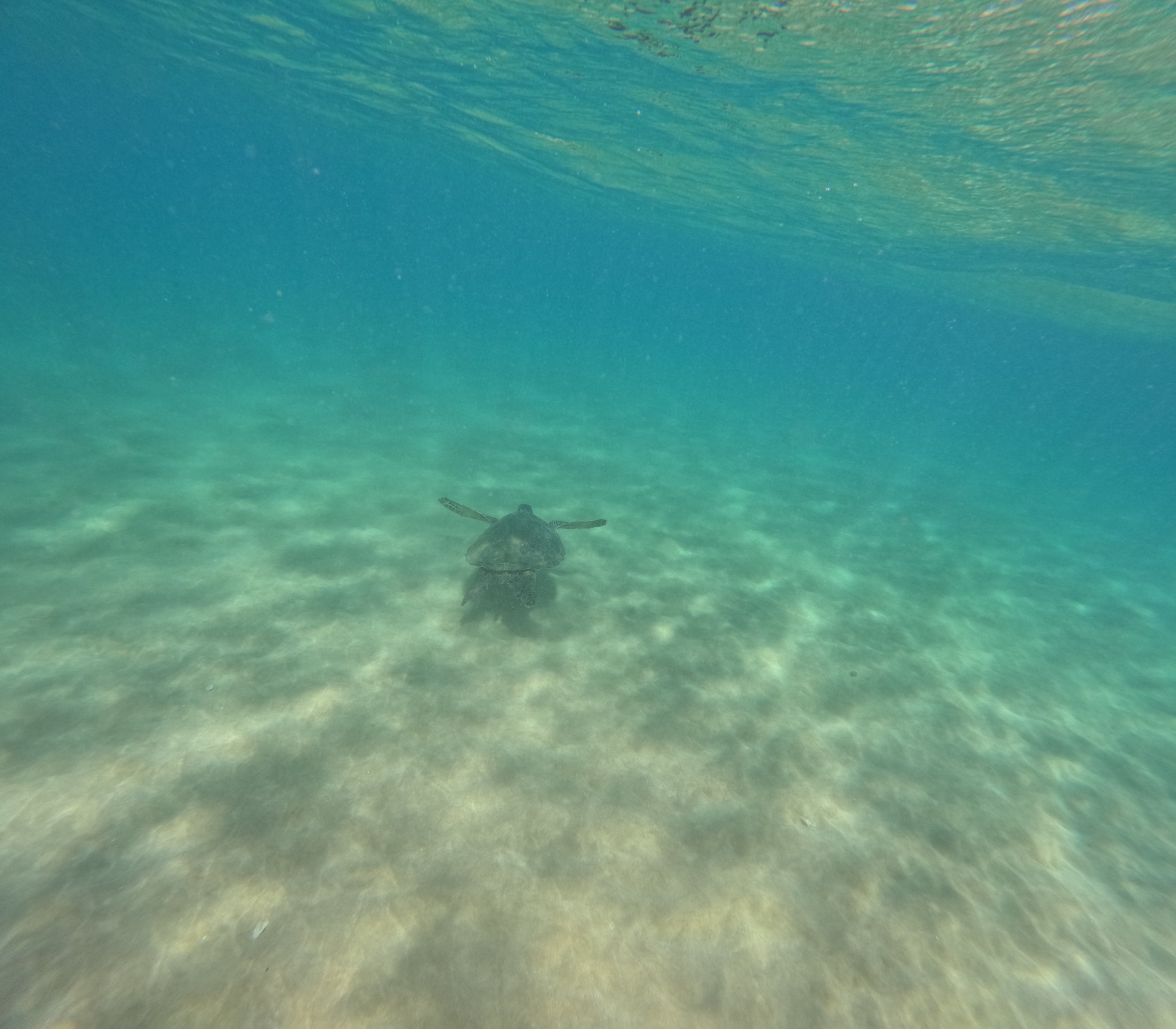 GPTempDownload 12.jpeg