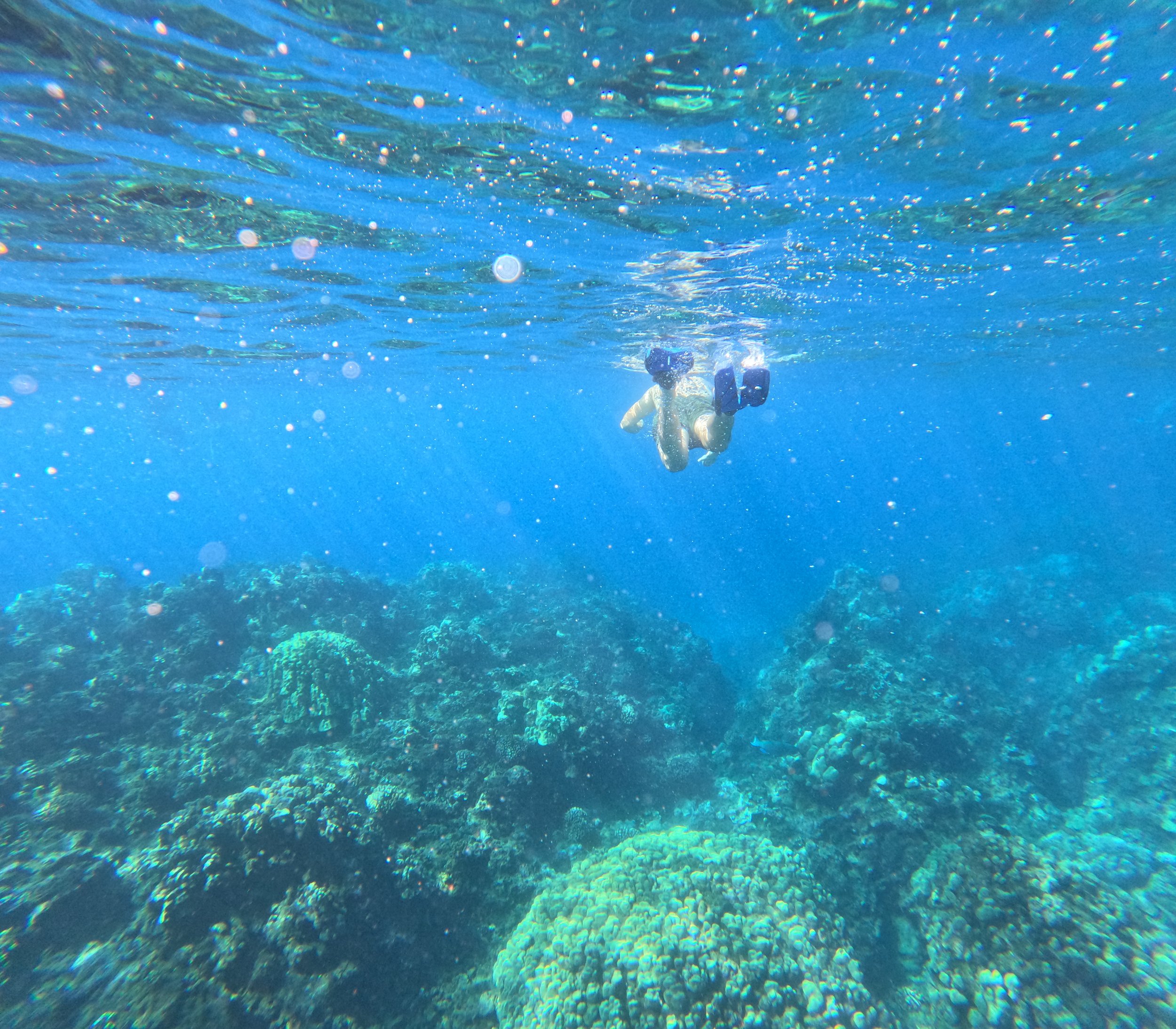 GPTempDownload 13.jpeg