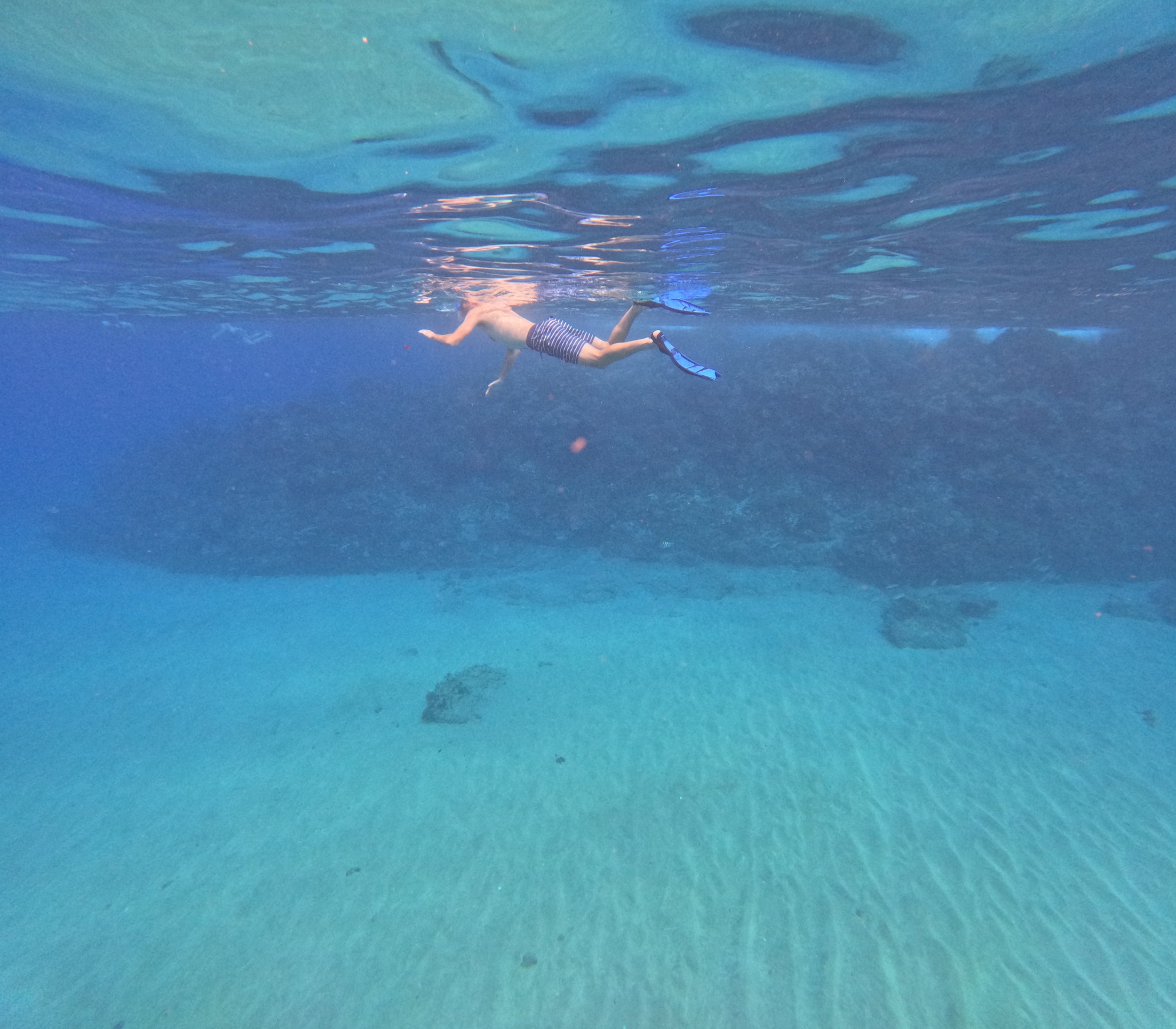 GPTempDownload 16.jpeg