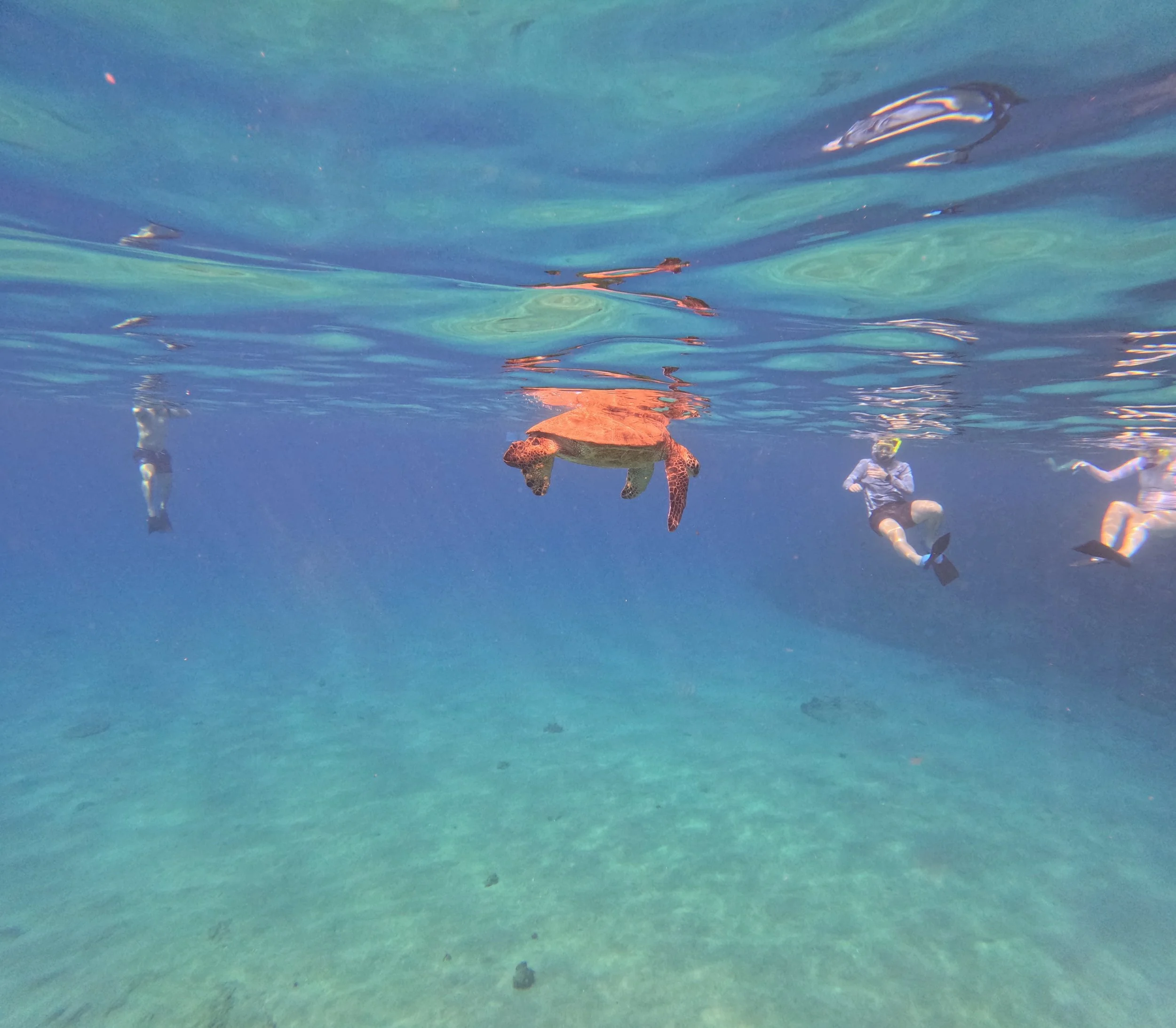 GPTempDownload 17.jpeg