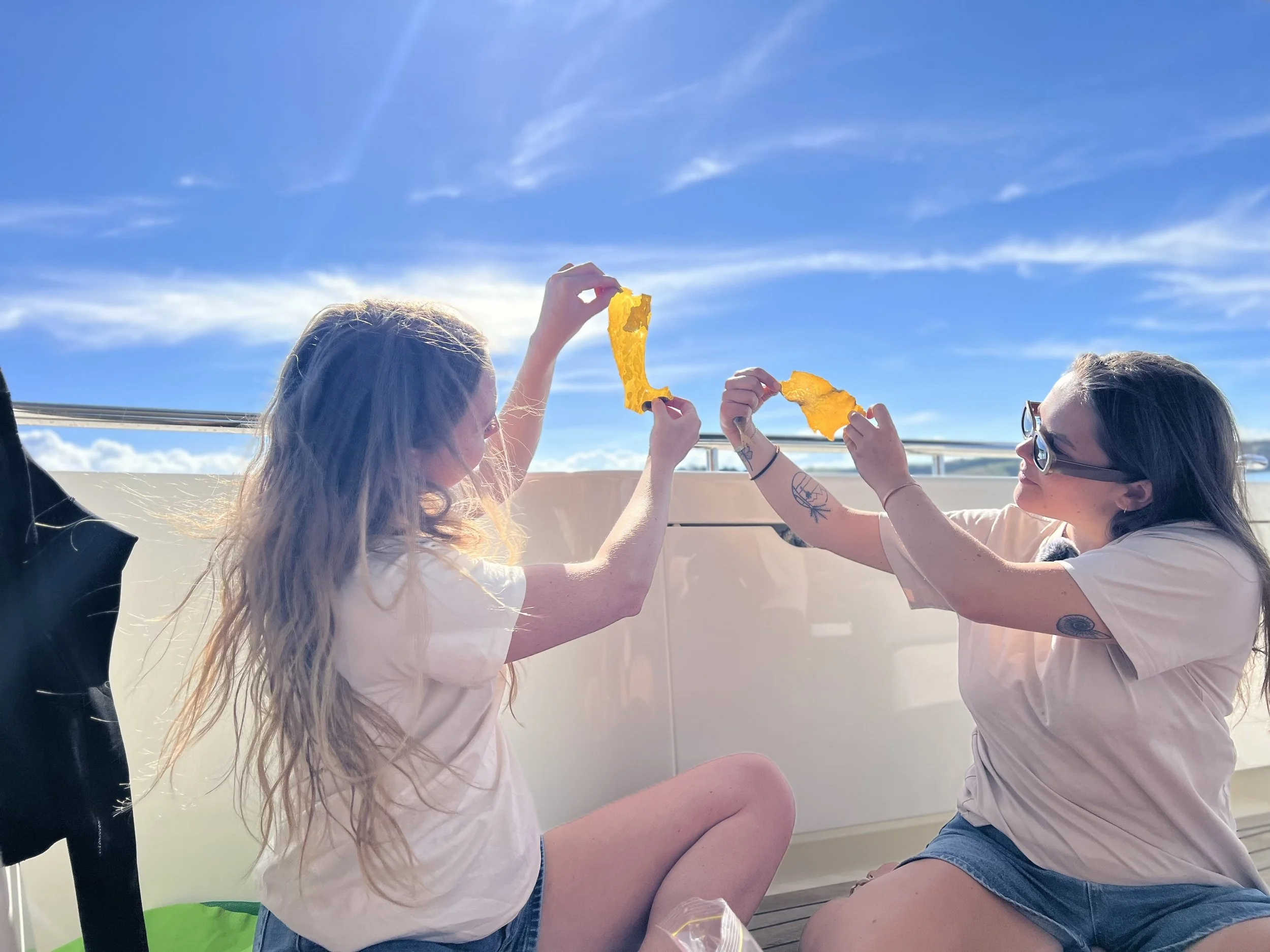 How young women are advancing New Zealand’s seaweed industry