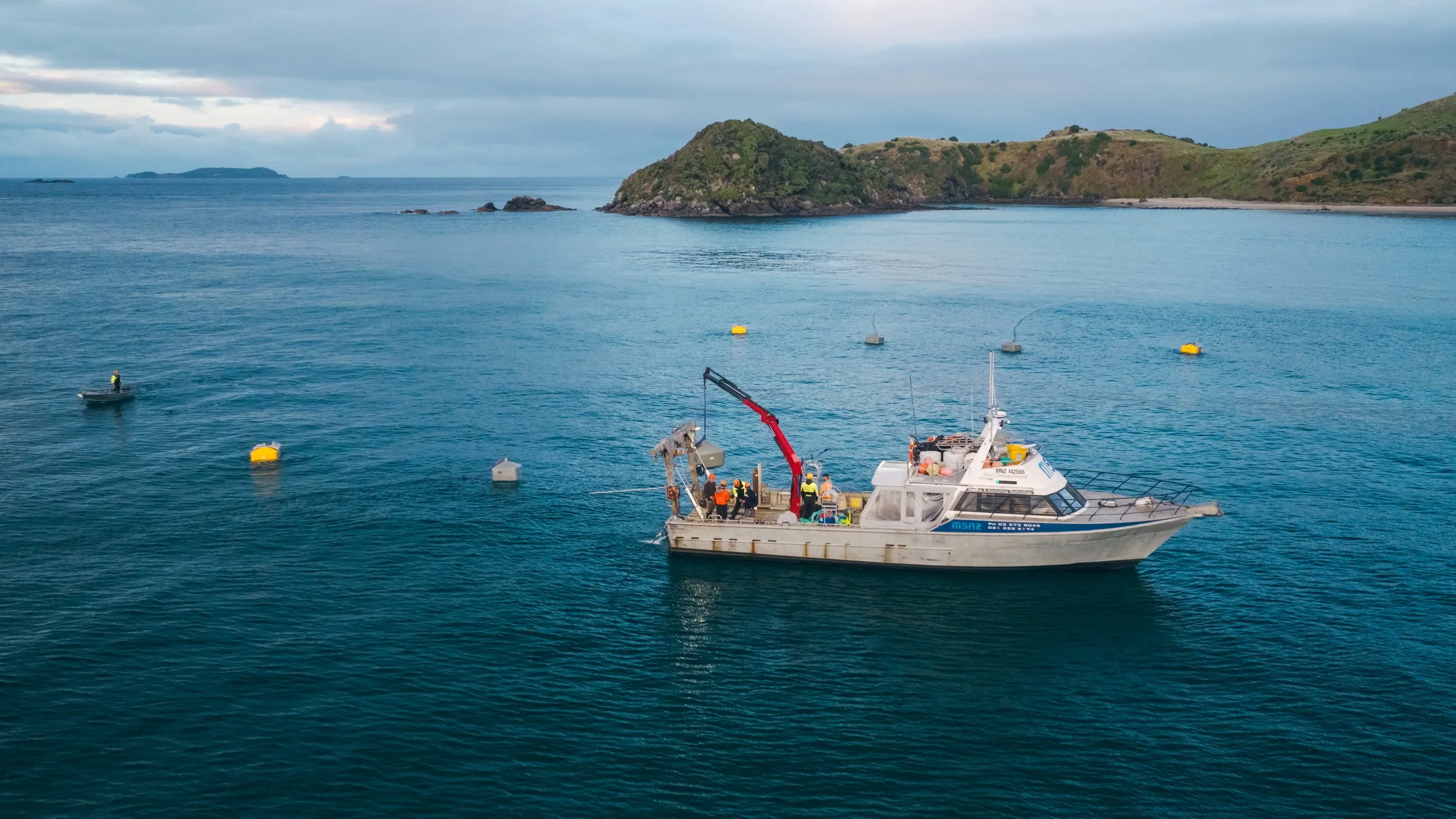 RNZ: Getting commercial with seaweed farms in Rakiura