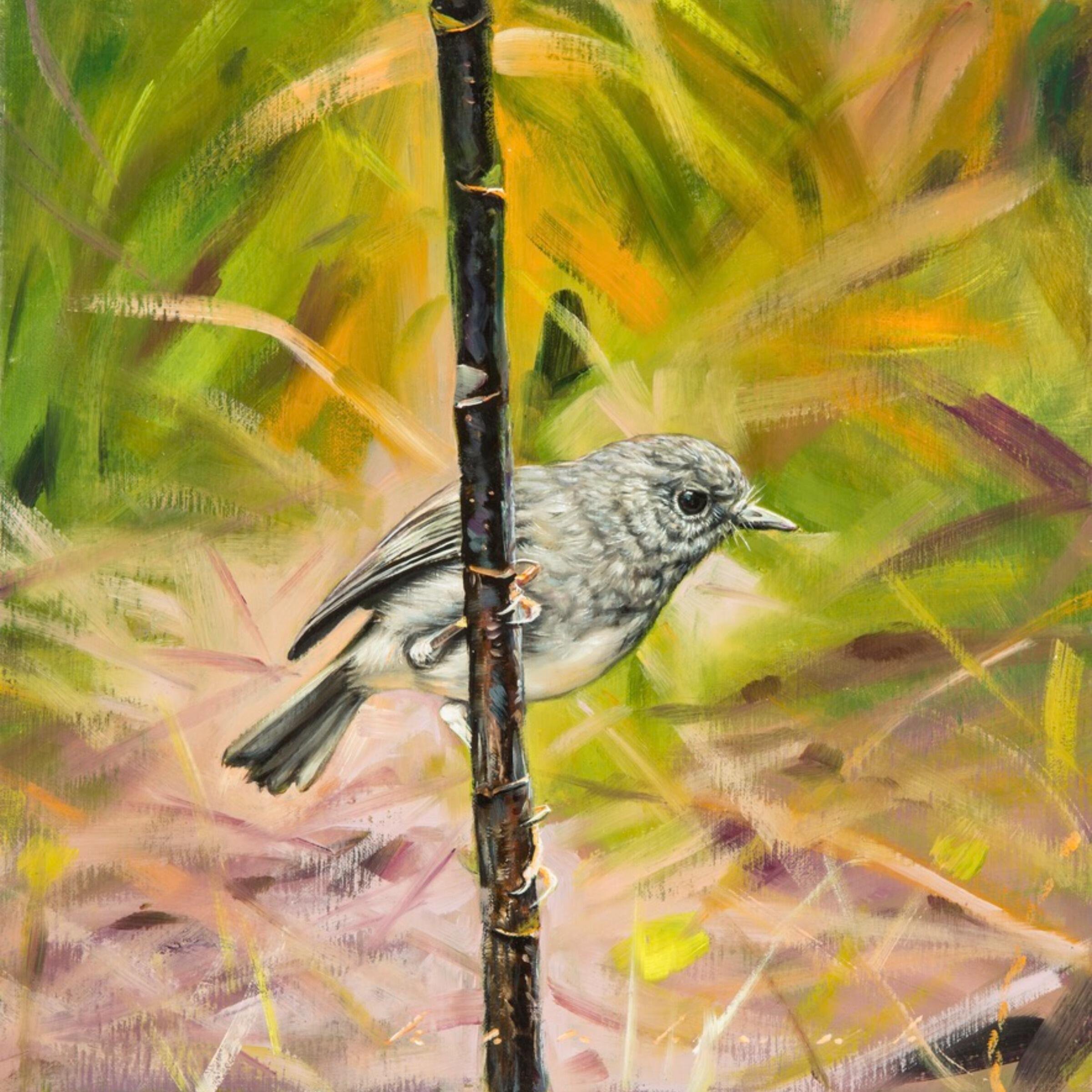 North Island Robin 8x8.jpeg