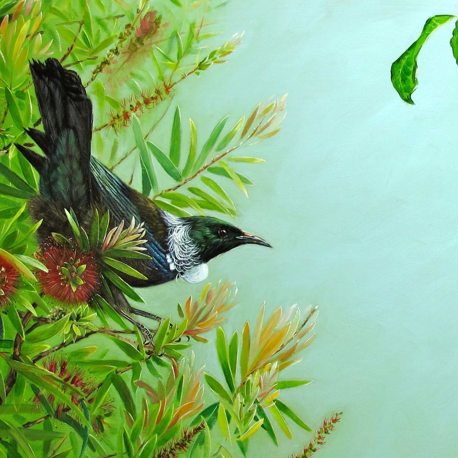 Tui+Standoff+10x15.jpg