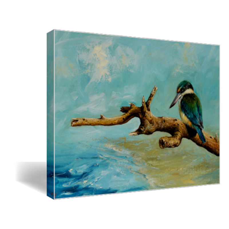 Sacred Kingfisher Version 2
