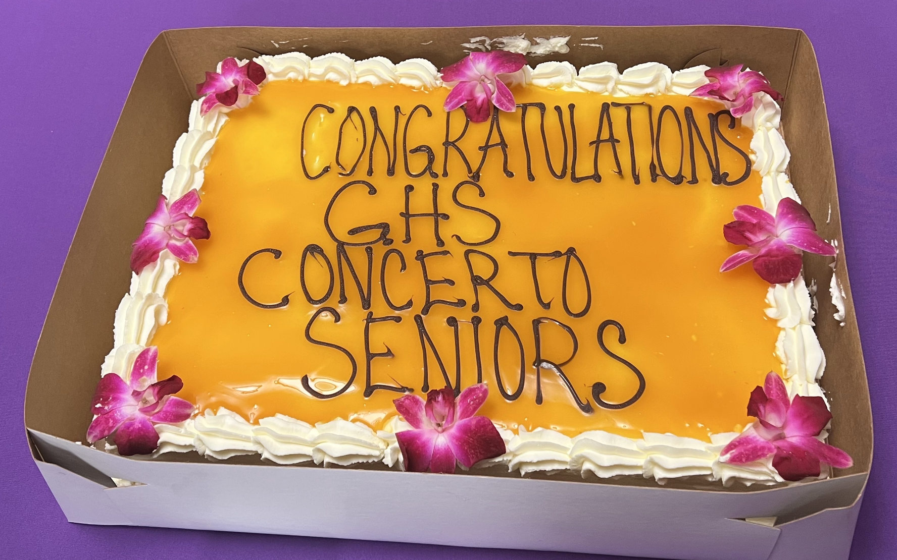 Concerto Concert Photos 2026