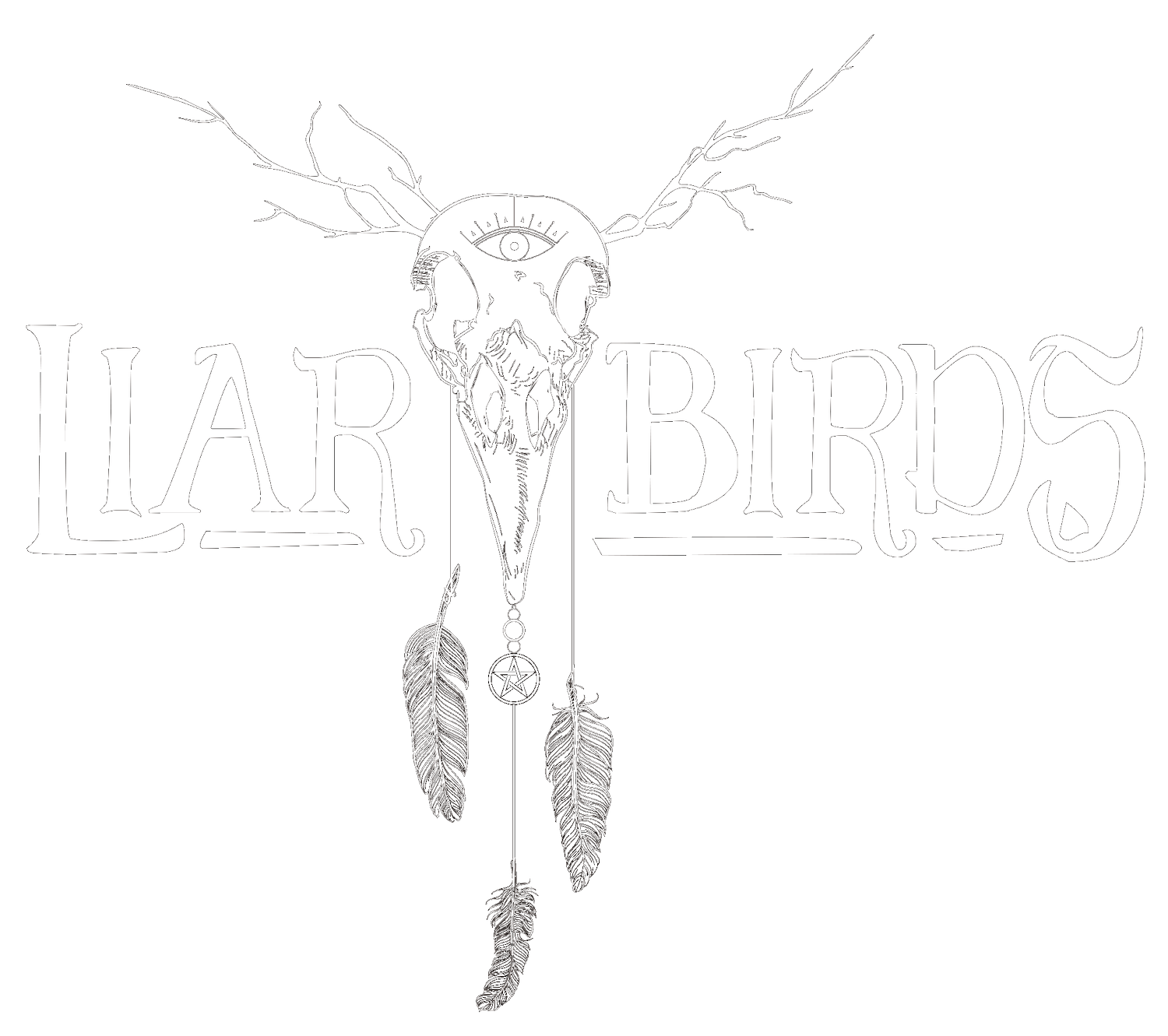 LIAR Birds