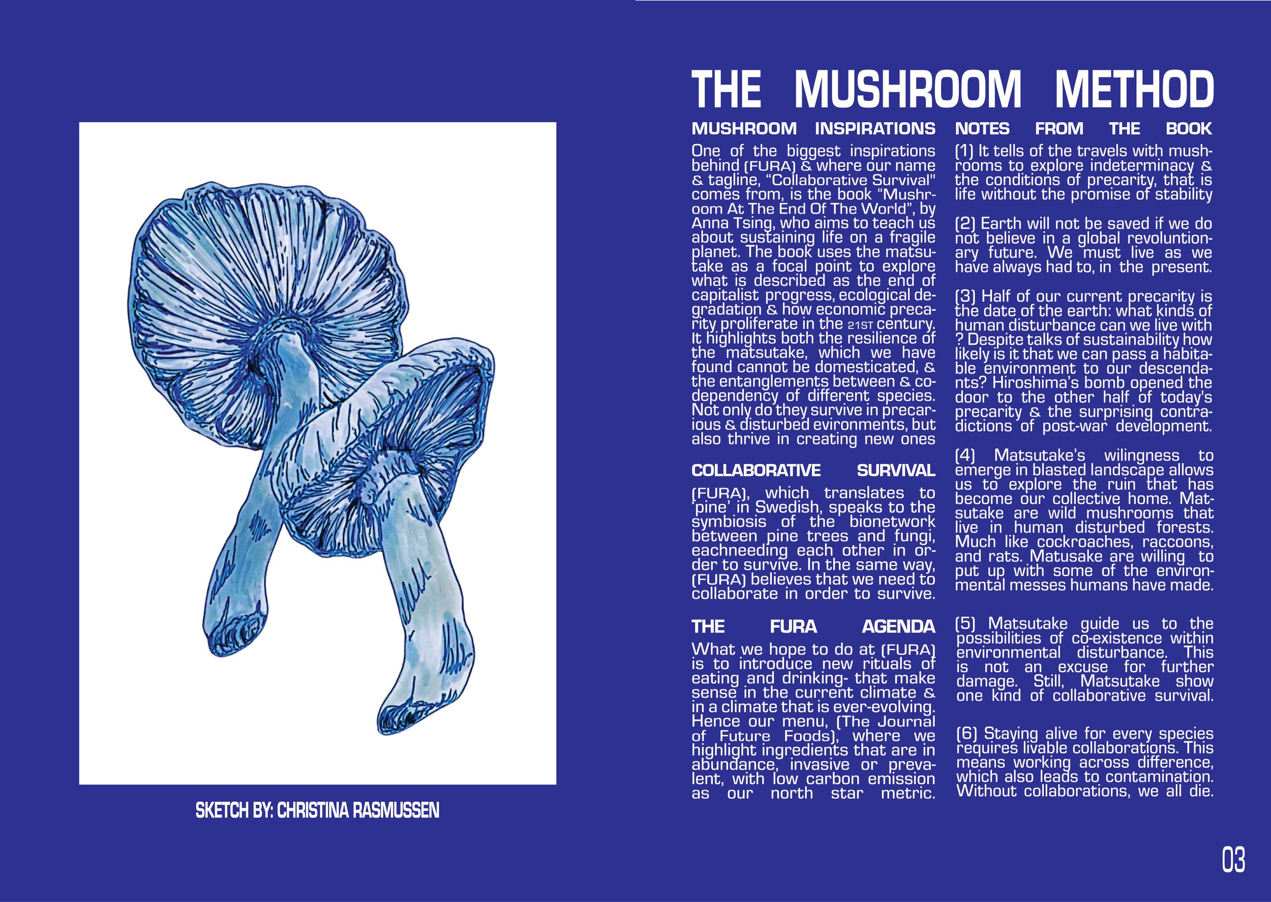 Journal Volume One web5.jpg