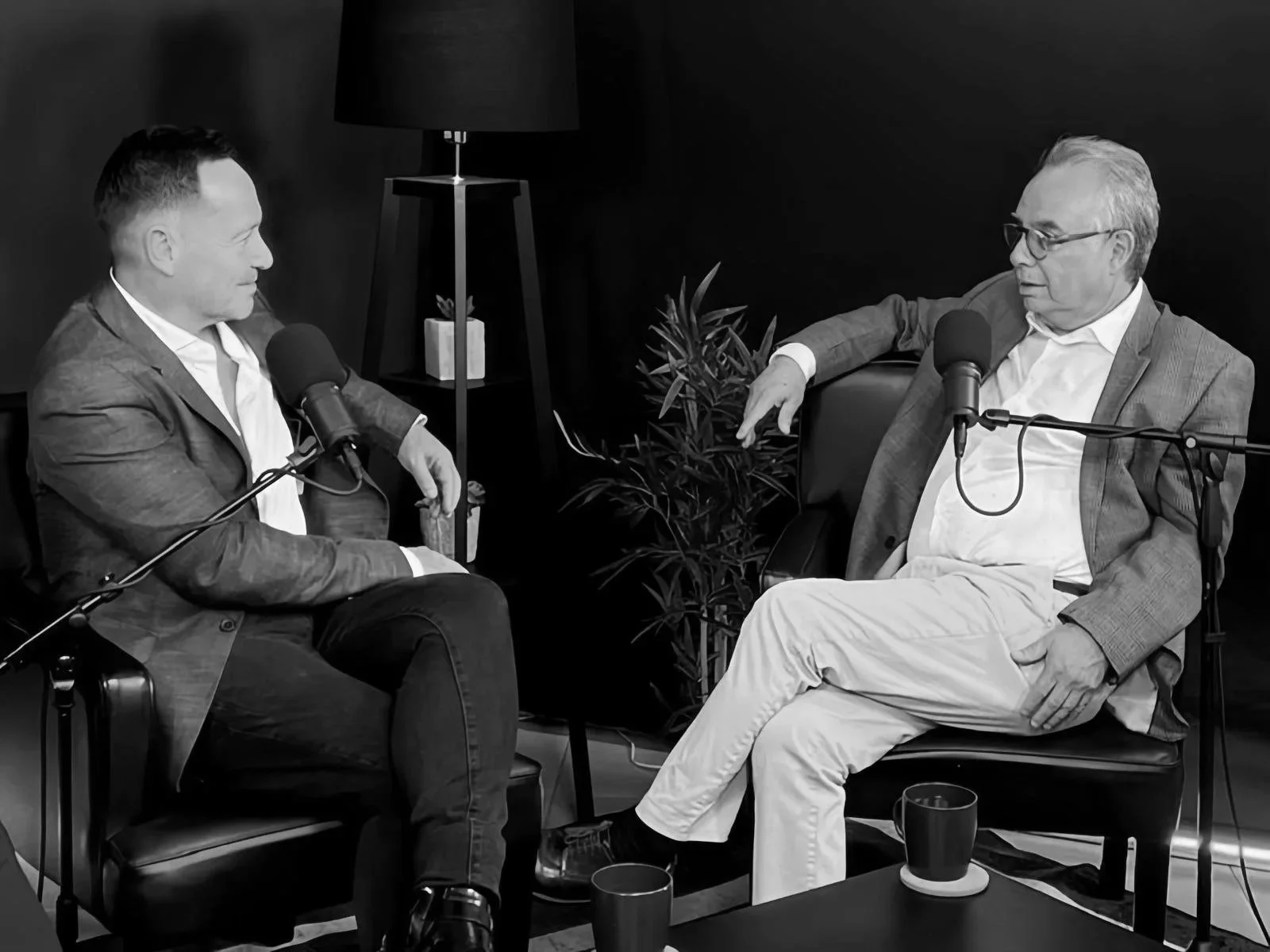 Dos hombres en una entrevista o conversación, sentados en sillas con micrófonos frente a ellos en un ambiente interior con planta y lámpara de pie.