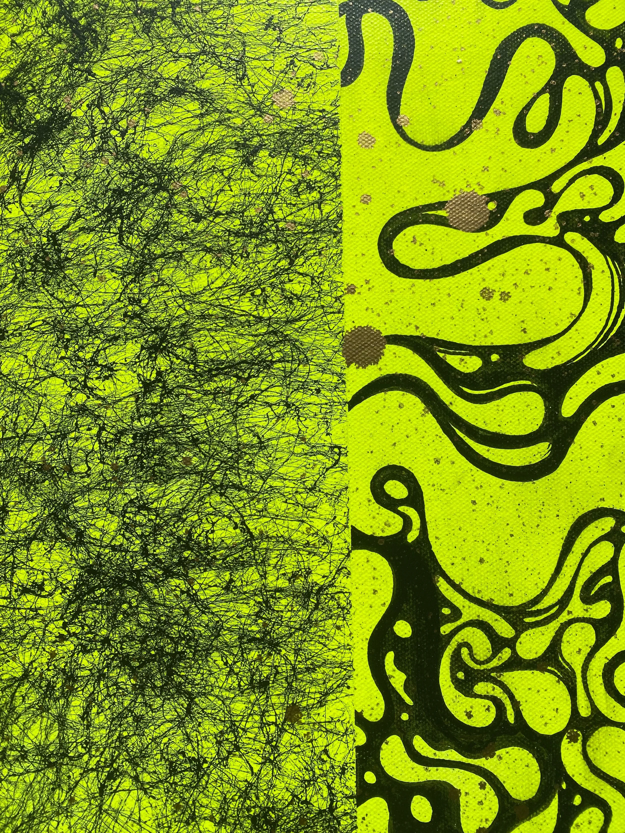 WhatsApp Image 2026-10-22 at 14.55.47 (1).jpeg