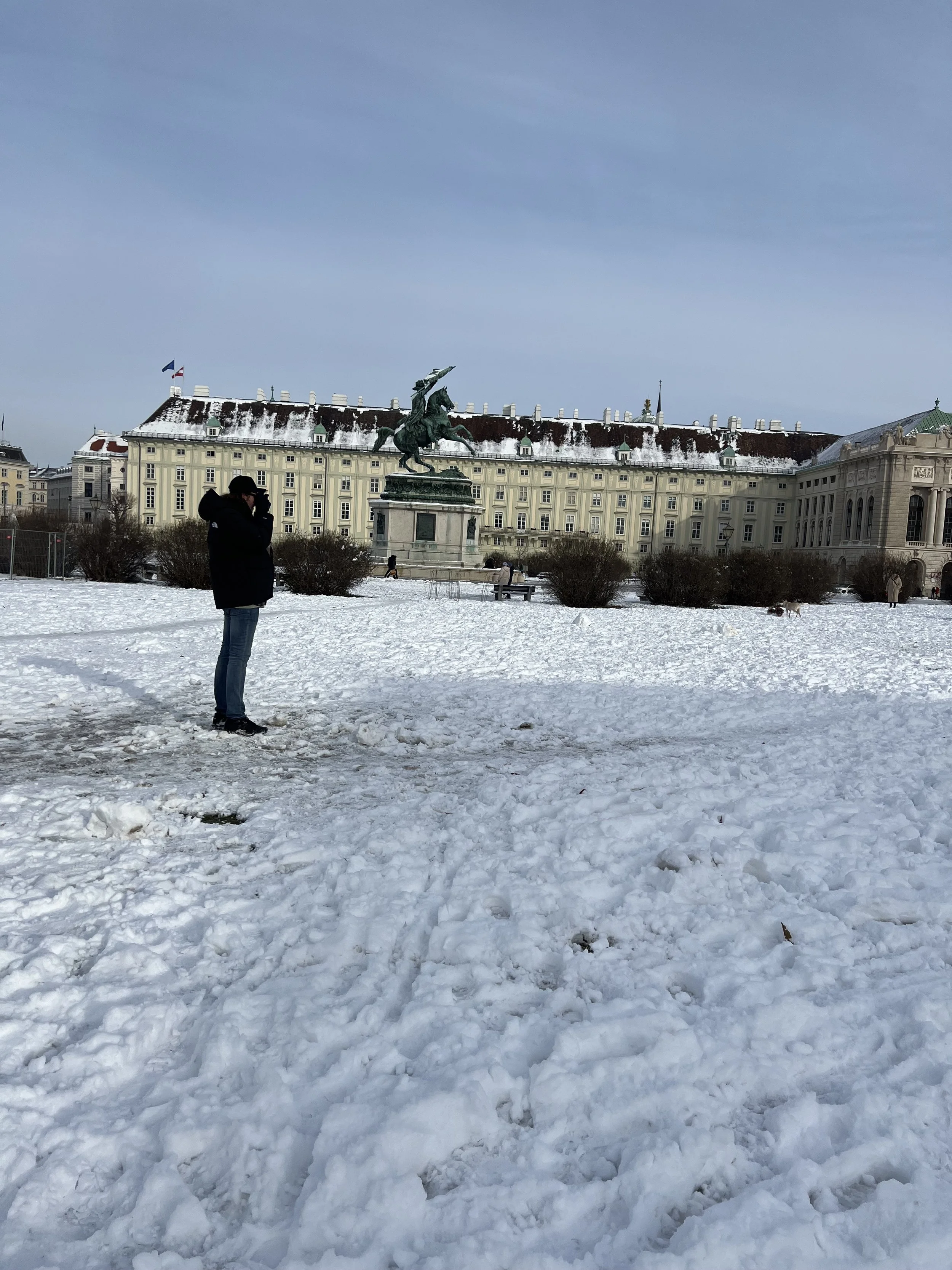 Hello, Vienna Calling…