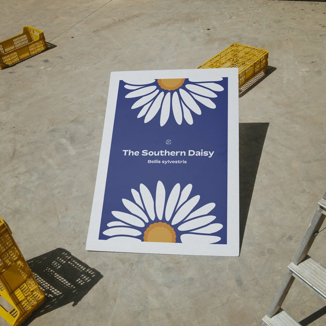 Now, in poster form! Summer daisies 🌤
.
.
.
.
#flowerillustrator #colourfulprints #swedishillustrator #colourfulartwork #graphicposters #flowerillustration #artworkoftheday #thecolourfeed #digitalarchive #visualgraphc #certainmagazine #graphicdesign