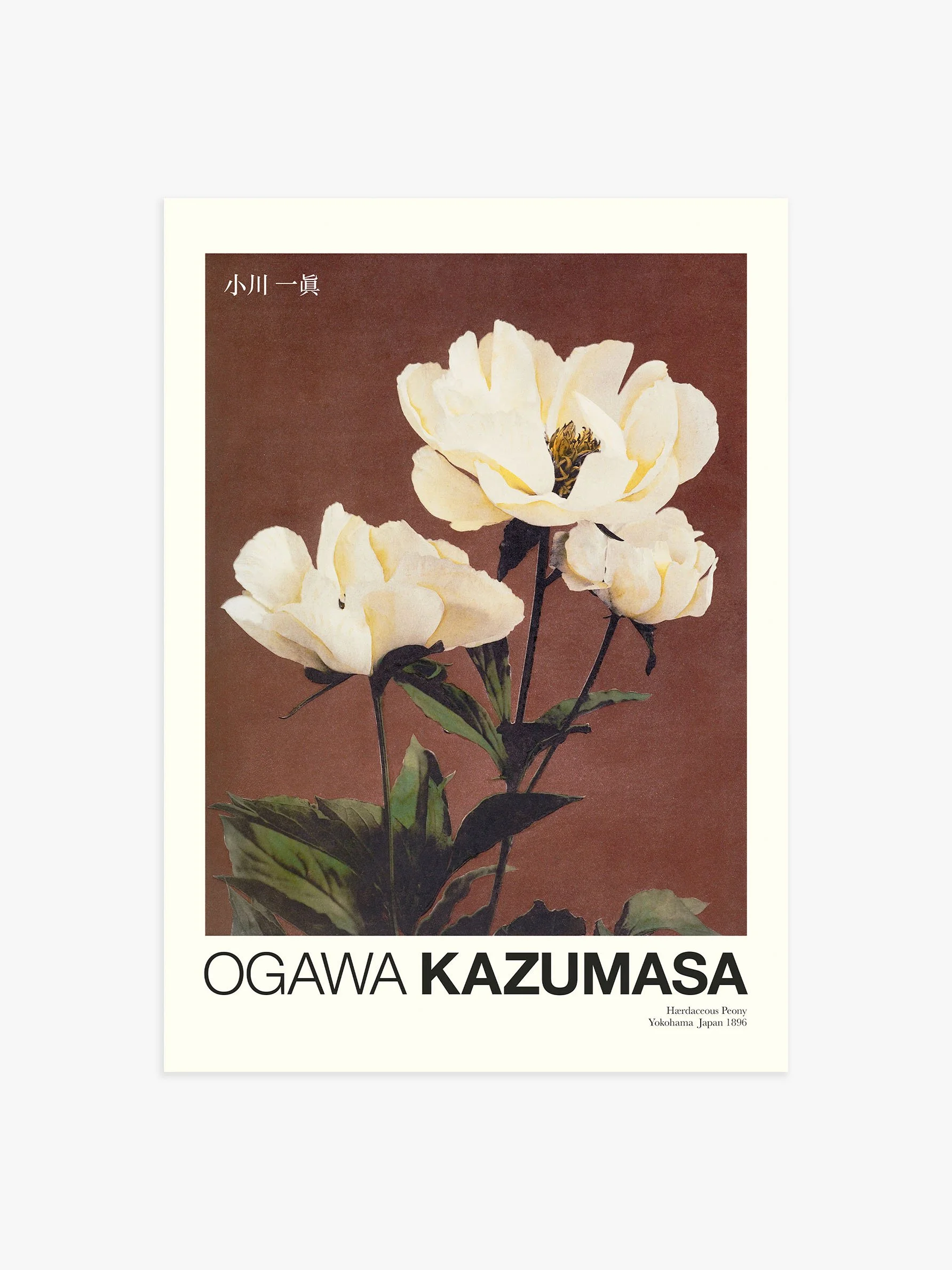 3101-Hærdaceous-Peony-by-Ogawa-Kazumasa-Poster-2.jpg