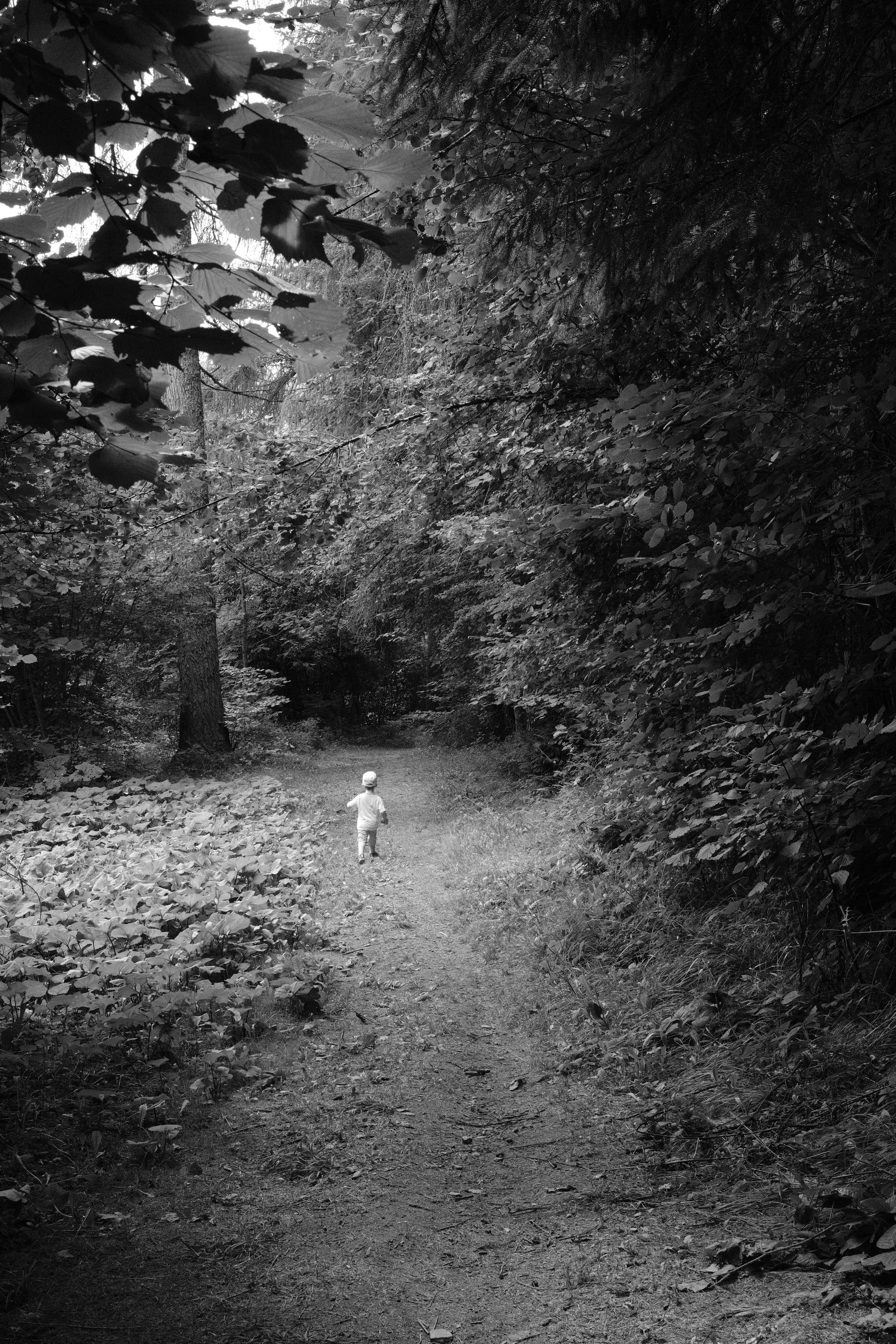 fotografia spontanea bambini padova bologna natura