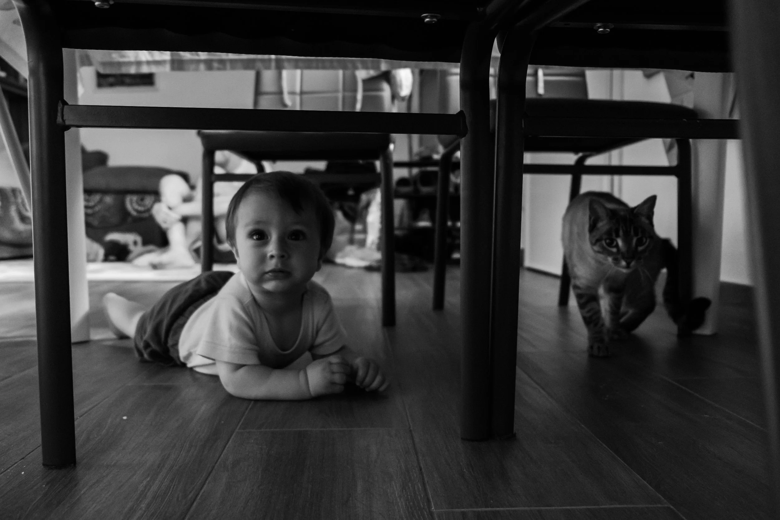 fotografia spontanea famiglia bambino gatto bologna