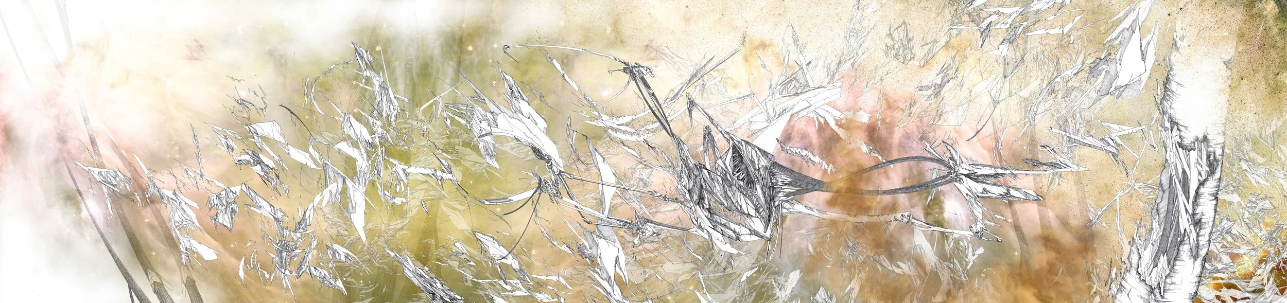 THE DUST FIELD