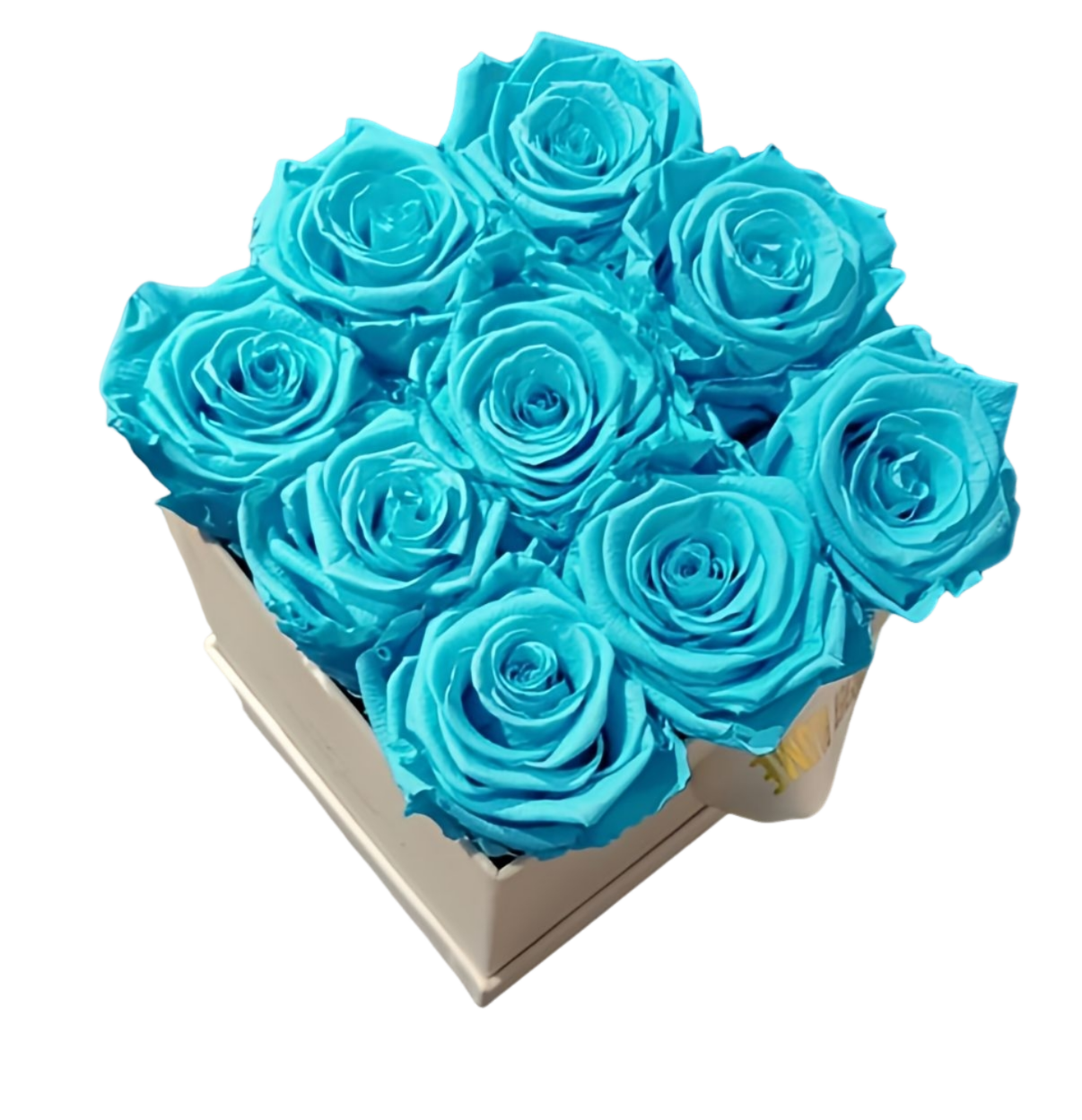 blue.png