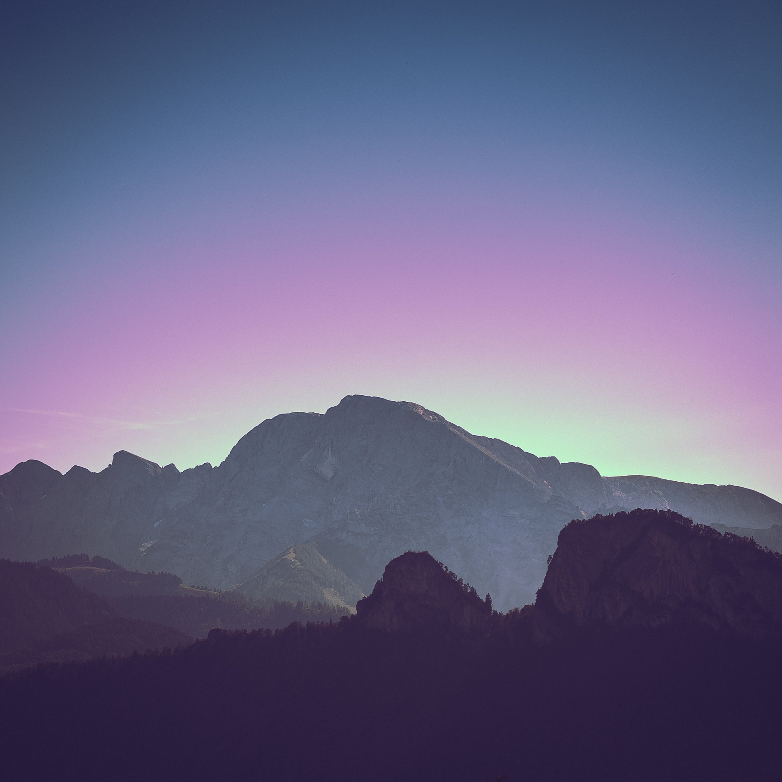 LumixSync_copy_2021-09-24 06_56_04 +0000RawFile.jpg