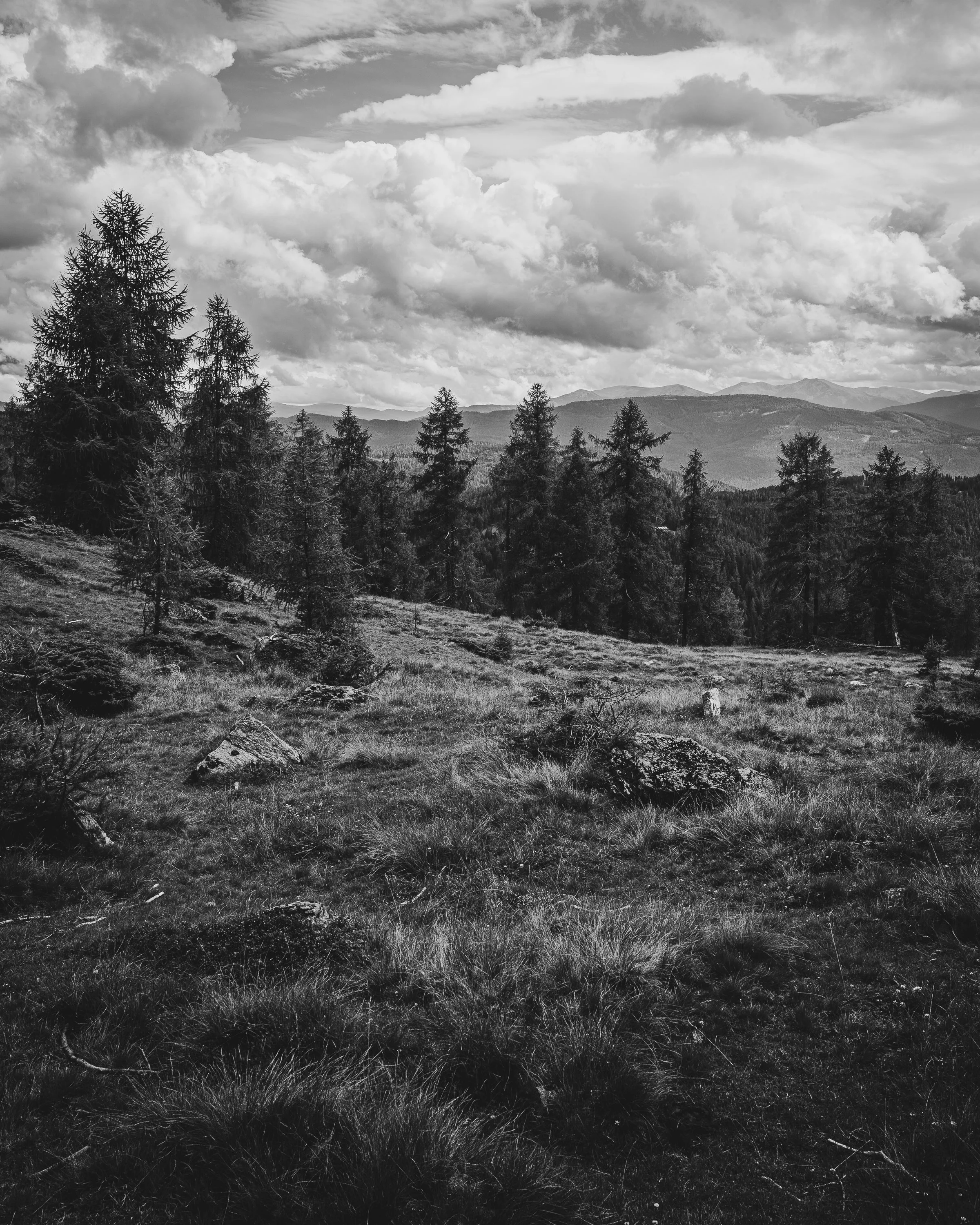 LumixSync_copy_2021-08-04 13_39_19 +0000RawFile.jpg