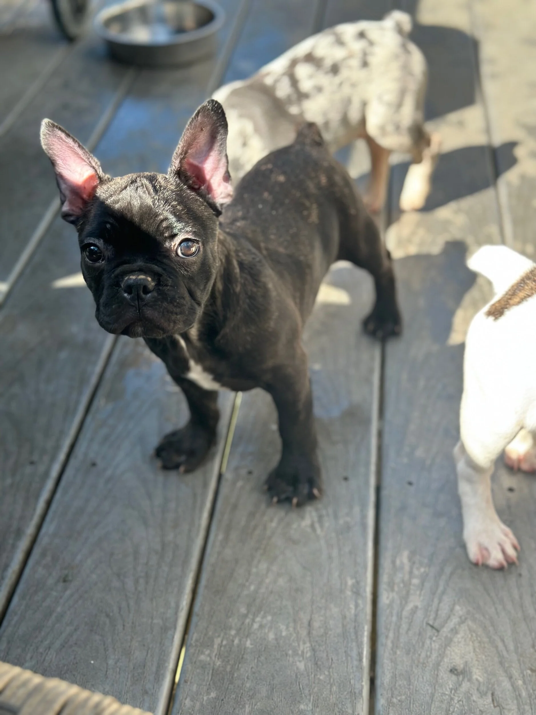 5B93B416-48AF-4802-8D64-F527E29E388B