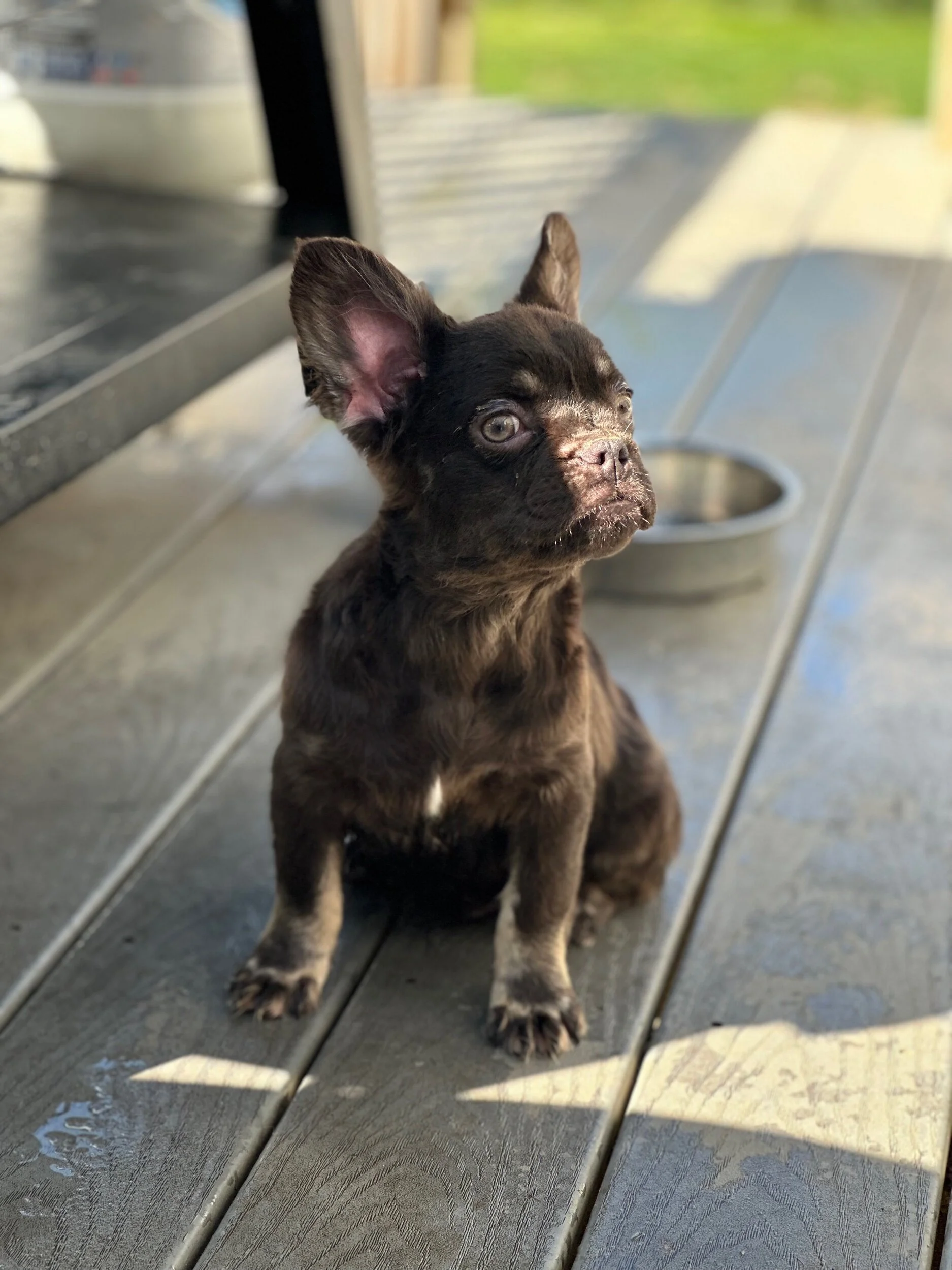 ACF242A0-A21B-4E59-8233-56A0291478A8