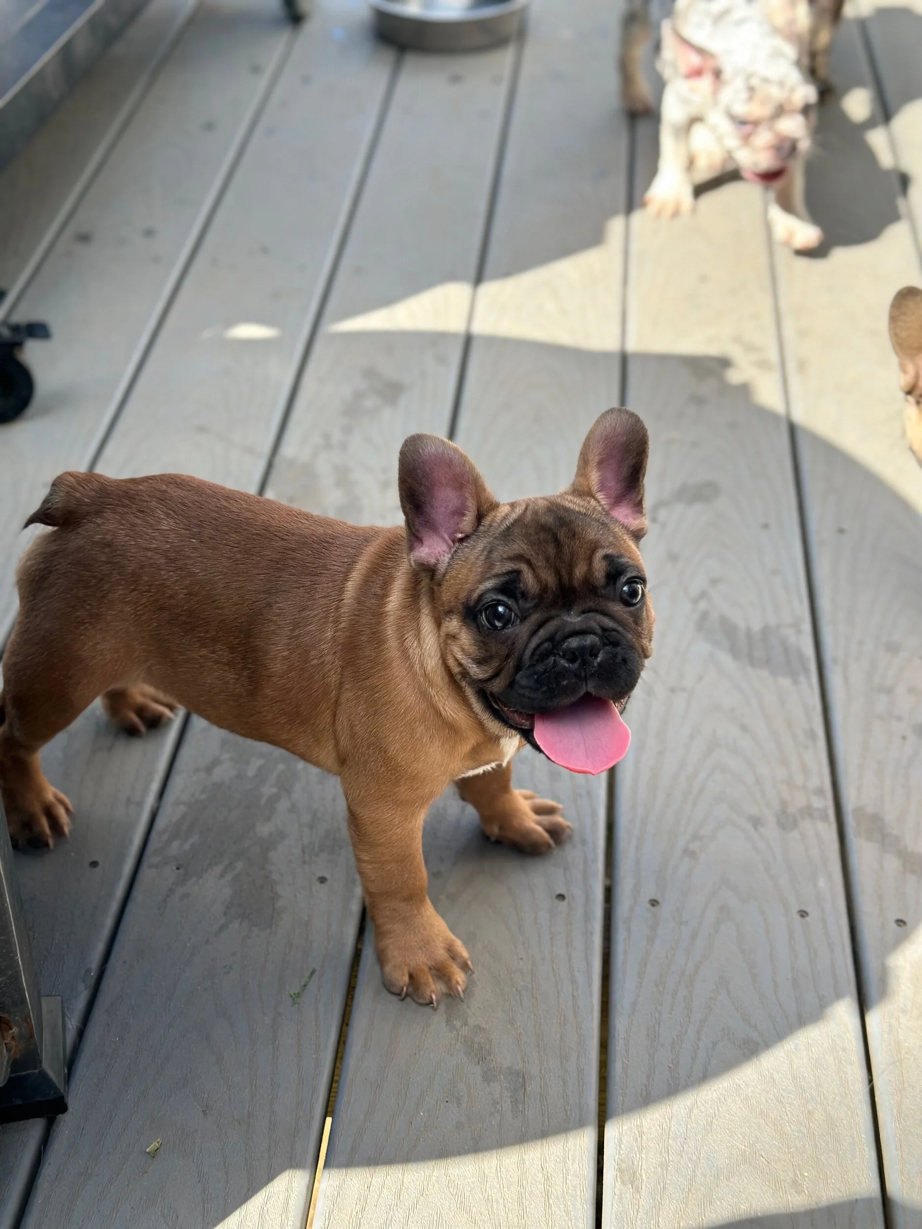 D321166C-C9A6-4FEA-A571-295FF58B1B64