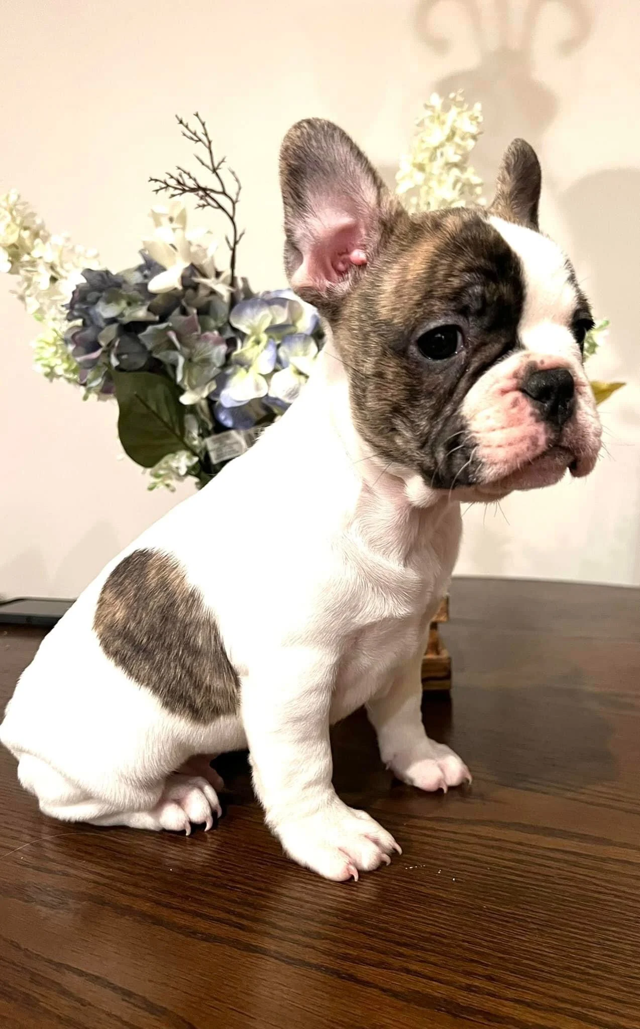 29F4A3CF-80EE-47E9-818D-F570DD97C3C1