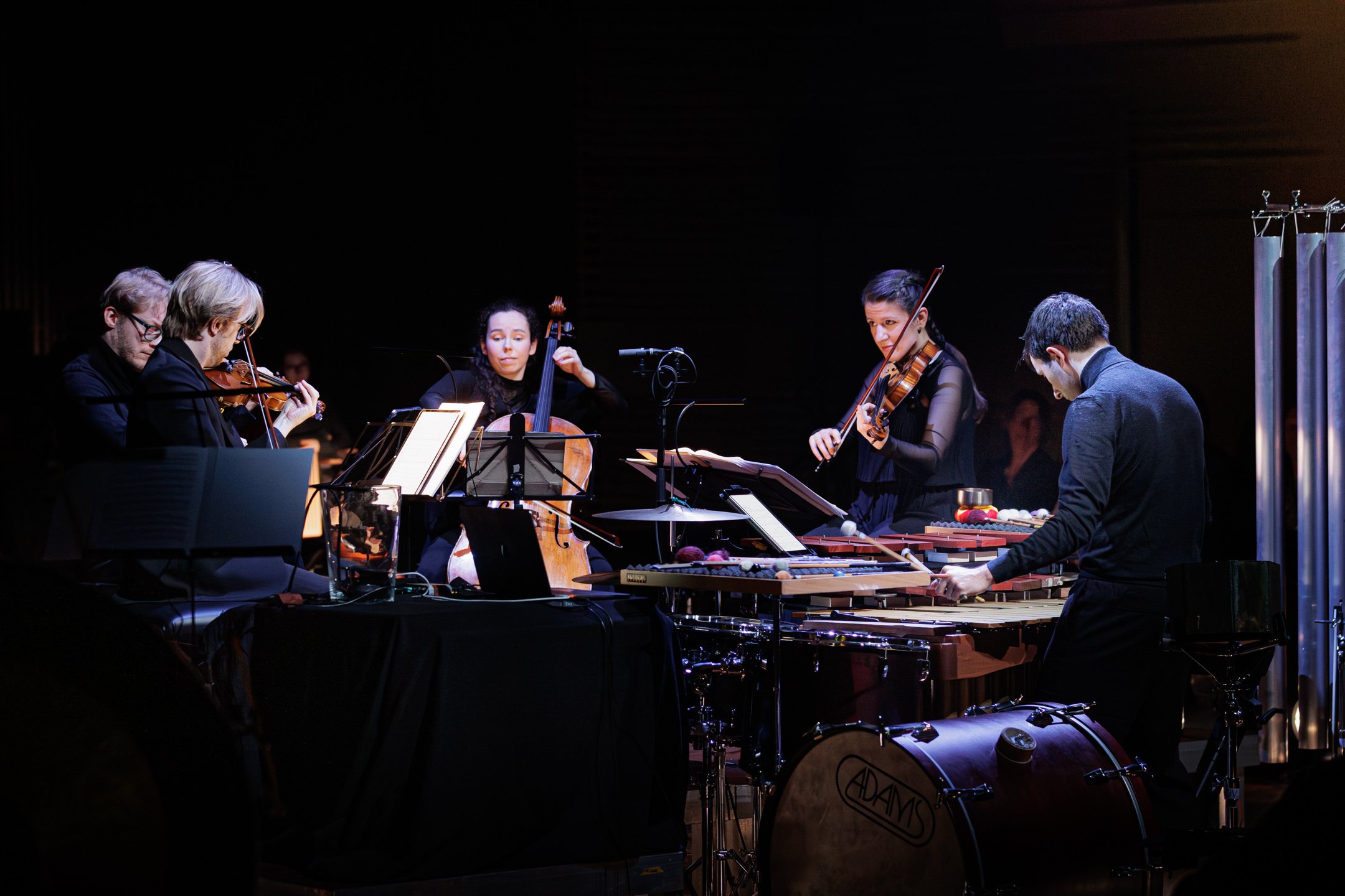 ROBVANDAMFOTO.NL -1364.jpg