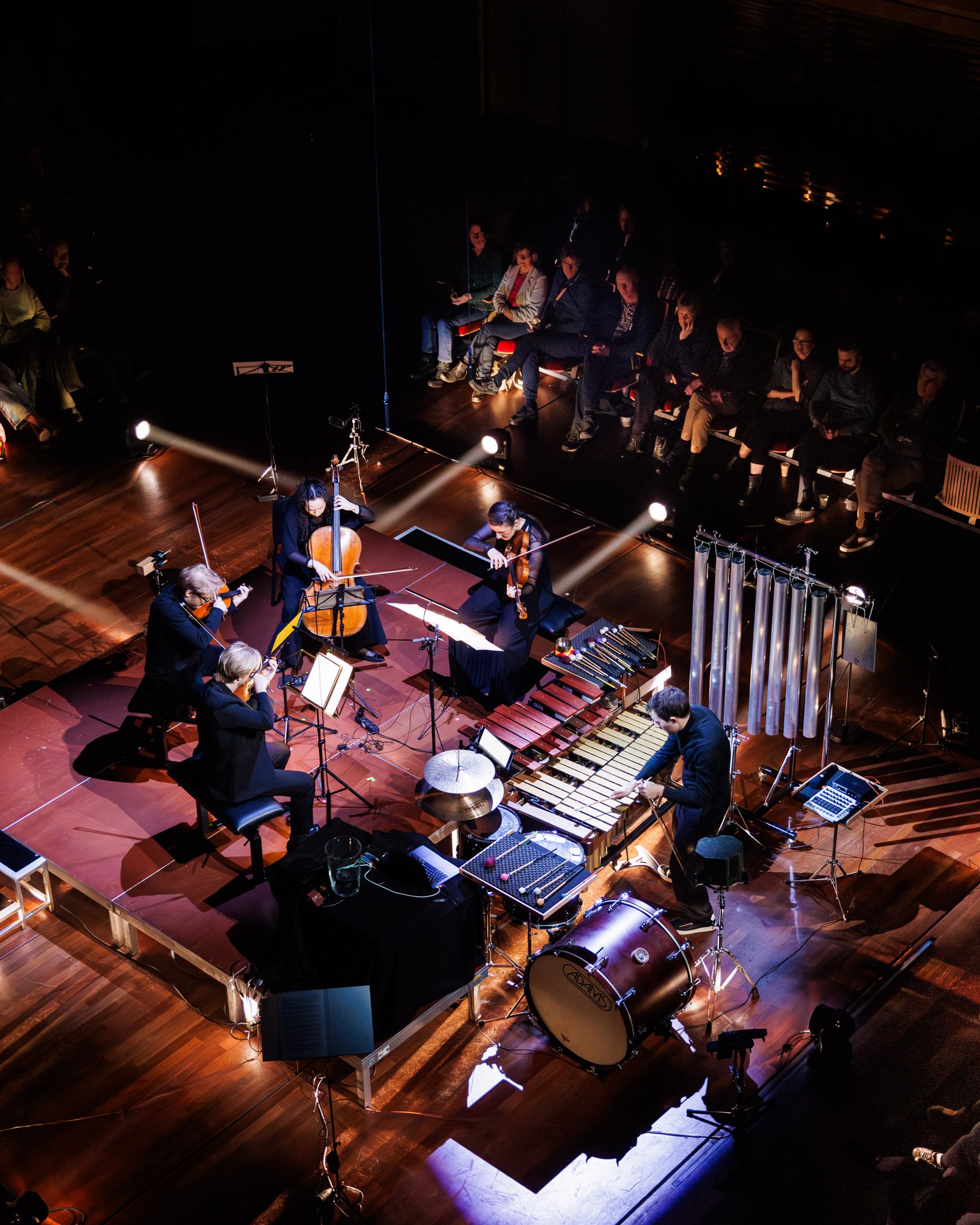 ROBVANDAMFOTO.NL -2807-2.jpg