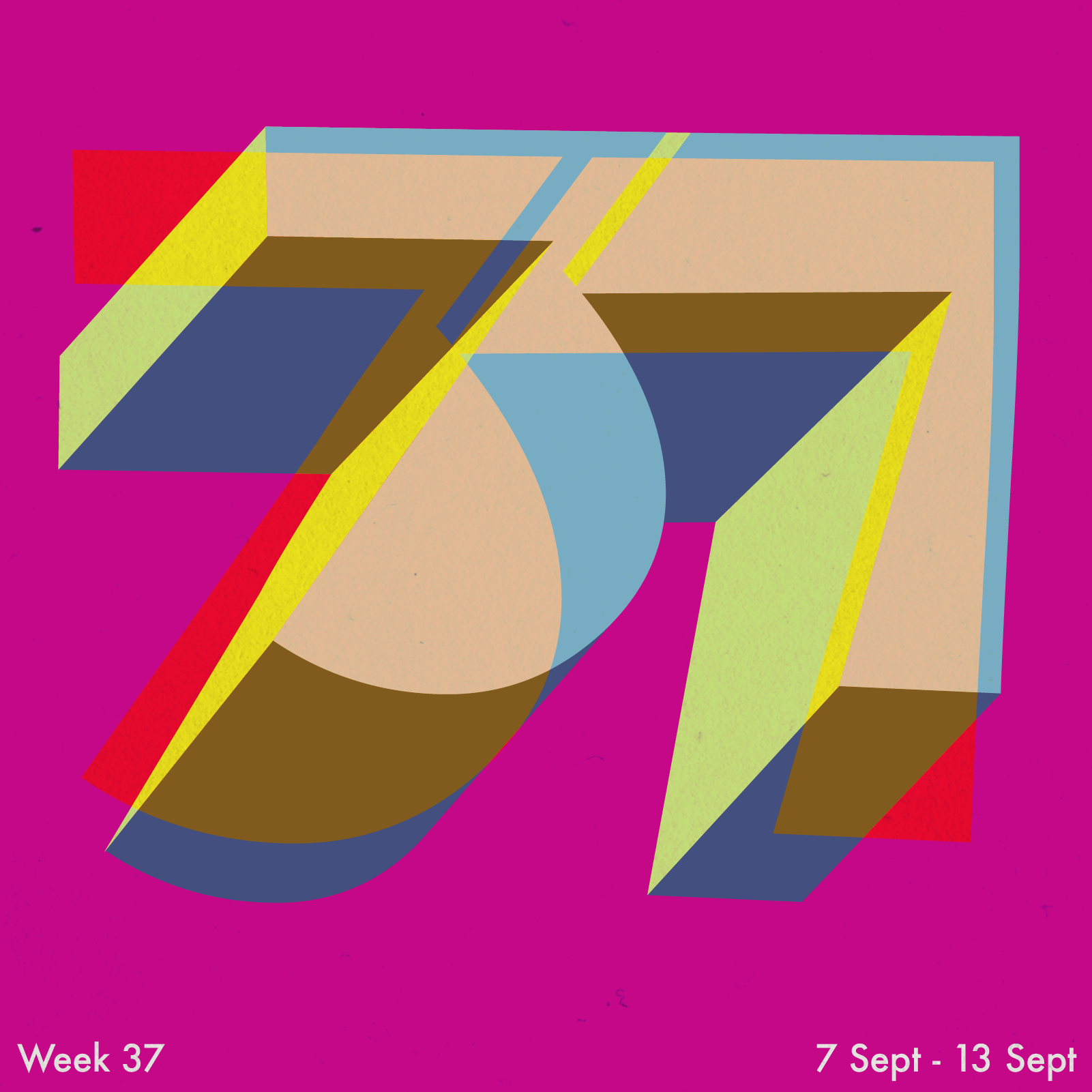 37 .png