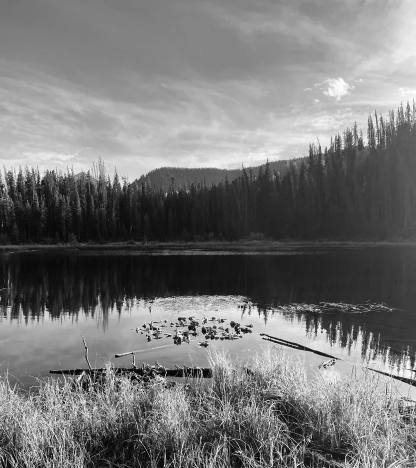 B9DFFC5E-92BD-4CC4-977B-A457890F1B74_1_105_c.jpeg