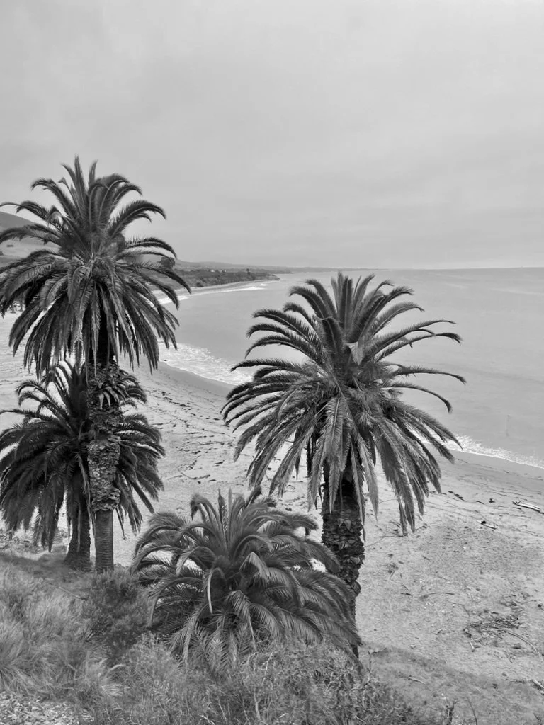 61C0CE14-EFAB-49B1-8B19-7A38F93DBC43_1_105_c.jpeg