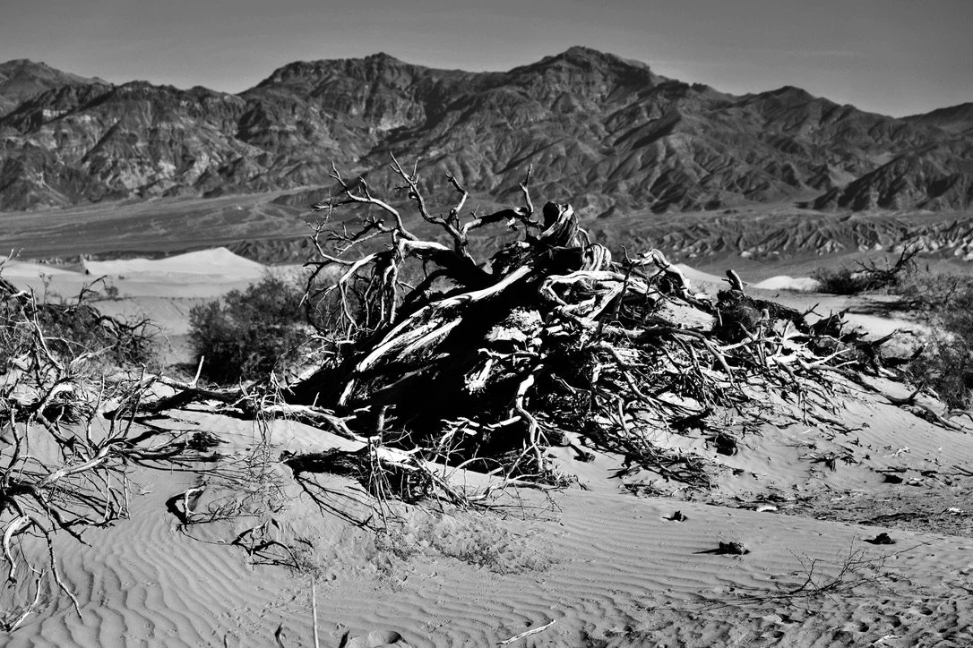 A35679EB-10DD-4A04-8D25-B7F5B4DEE3AE_1_105_c.jpeg