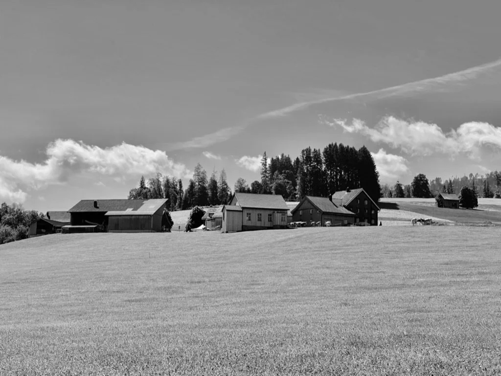 763903D4-D73E-42DC-BC89-80E24EBFE811_1_105_c.jpeg