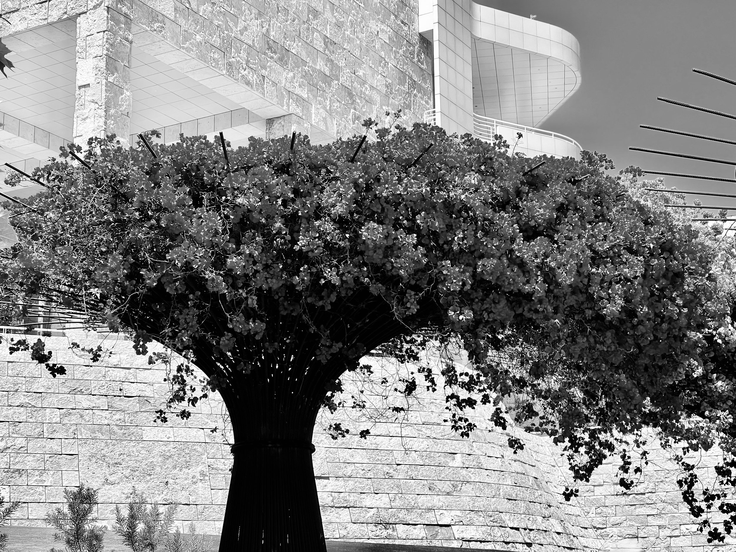 Los Angeles III - Getty Museum