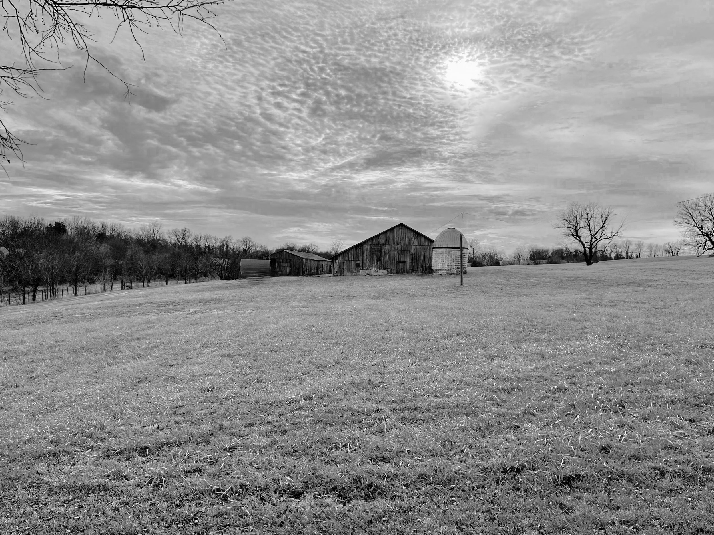 My Old Kentucky Home
