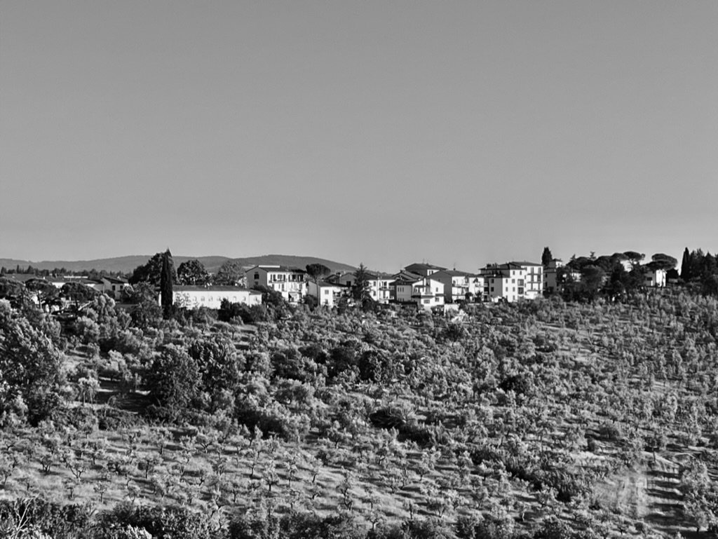 48D34D2C-56D3-4D71-A169-06C3B677F938_1_105_c.jpeg