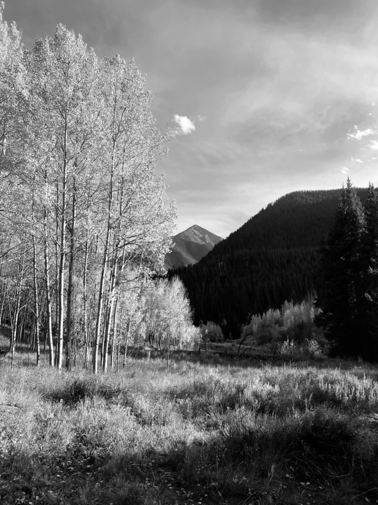 5D53E8E9-DF0D-46DA-83A5-05F4FC2CCE82_1_105_c.jpeg