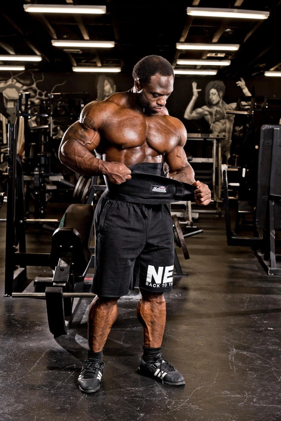 Model 800 Waist Trimmer Model.jpg