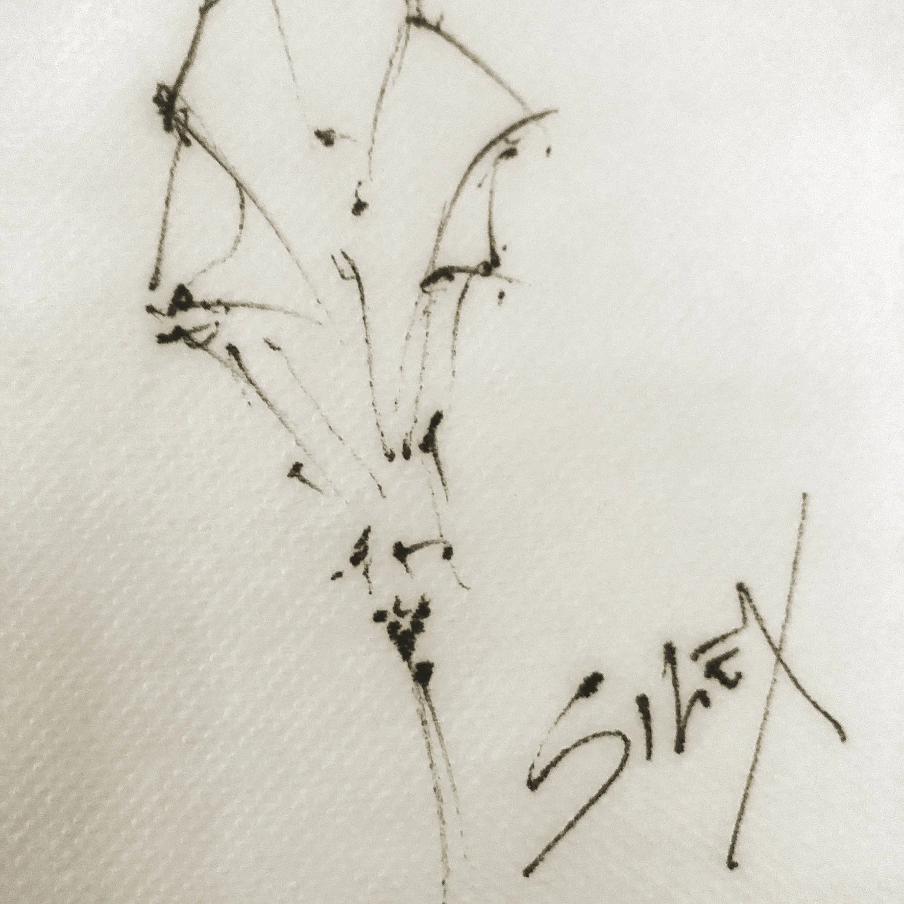 *Napkin18.jpg