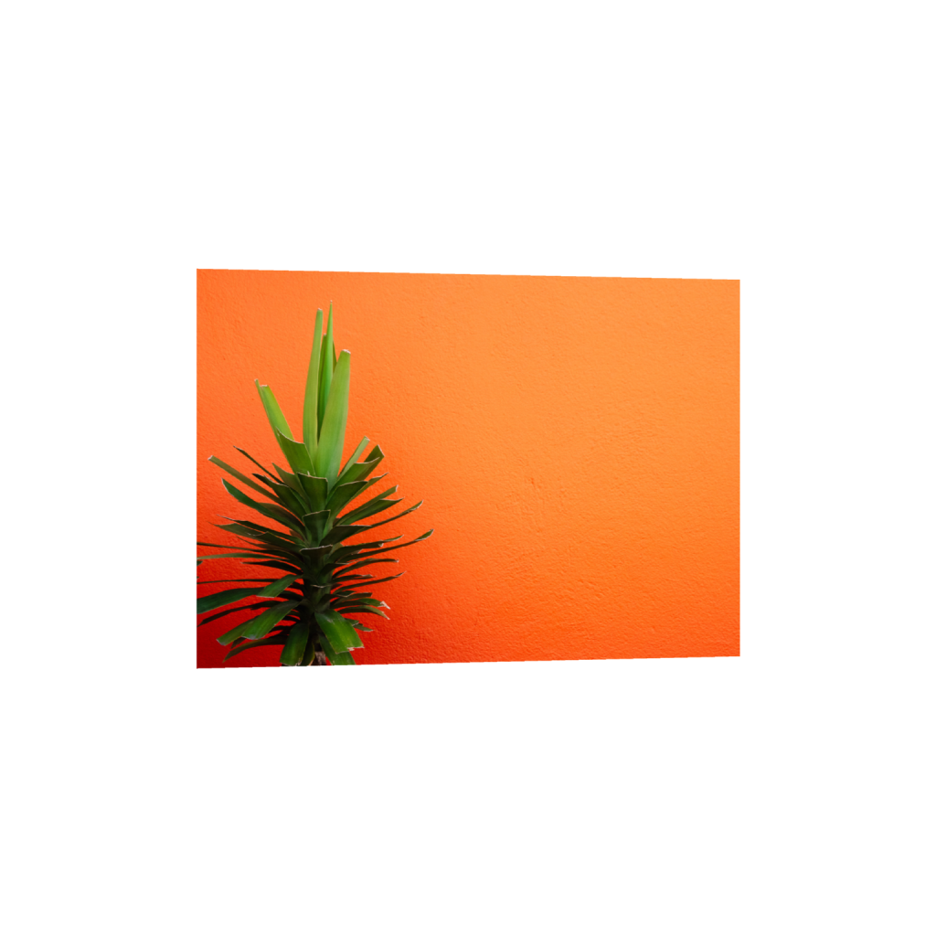 ptq_1_7_0_0_4999_3571_0_false_ffffff_0_0_.png