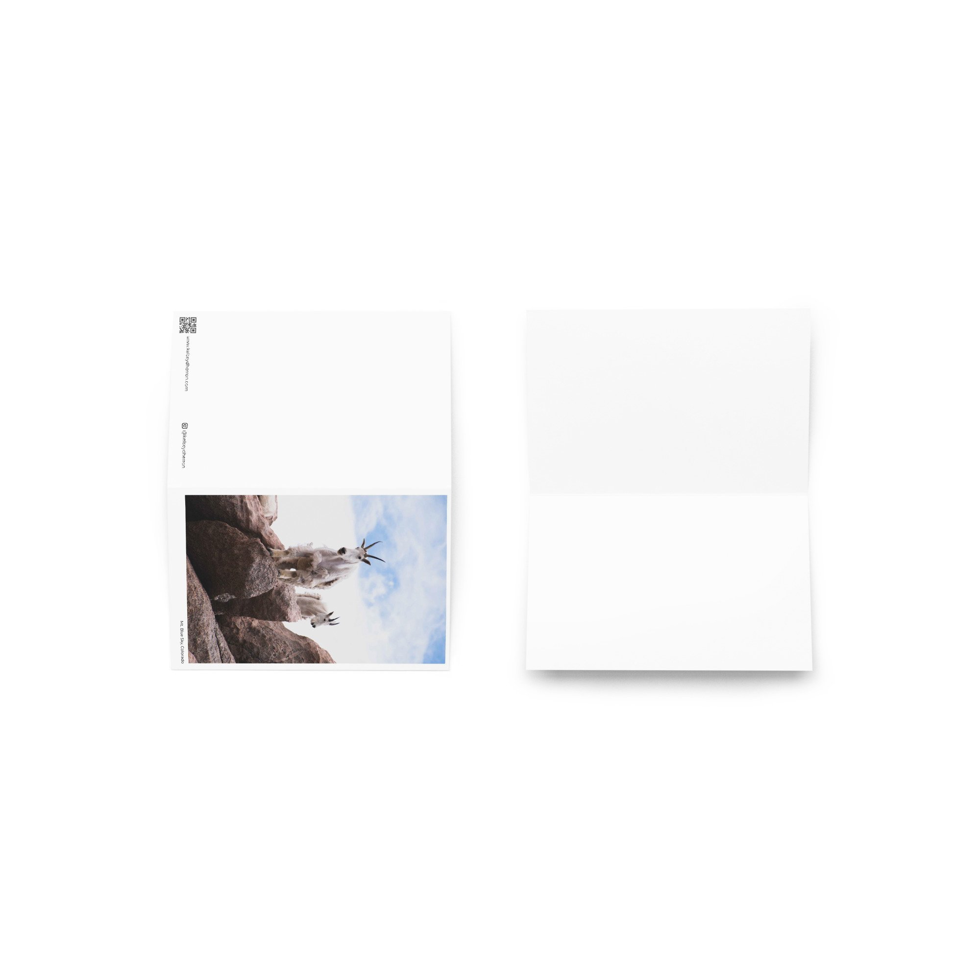 greeting-card-4x6-front-668c749dcbd1a.jpg