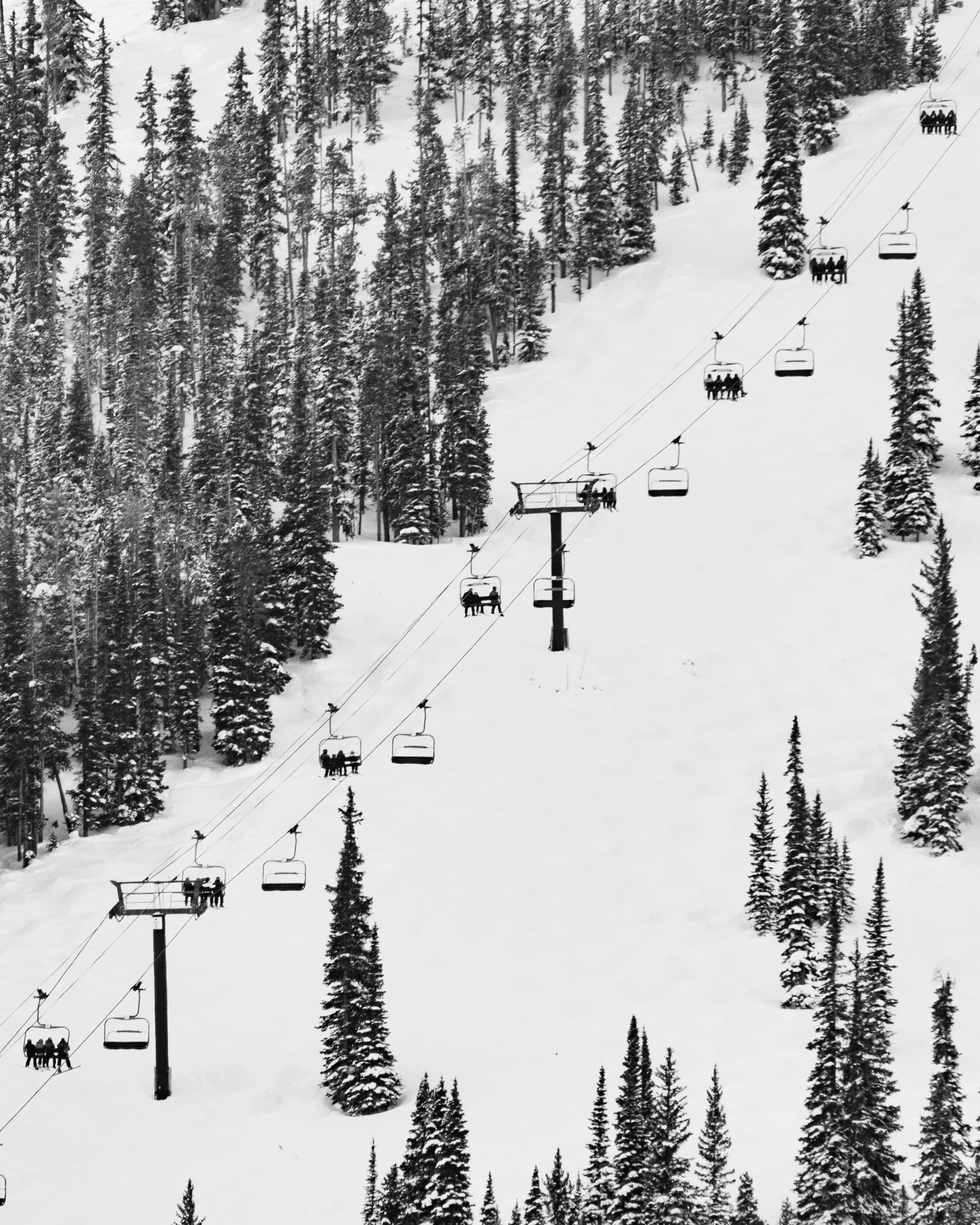 WinterPark02-2024-29.jpg