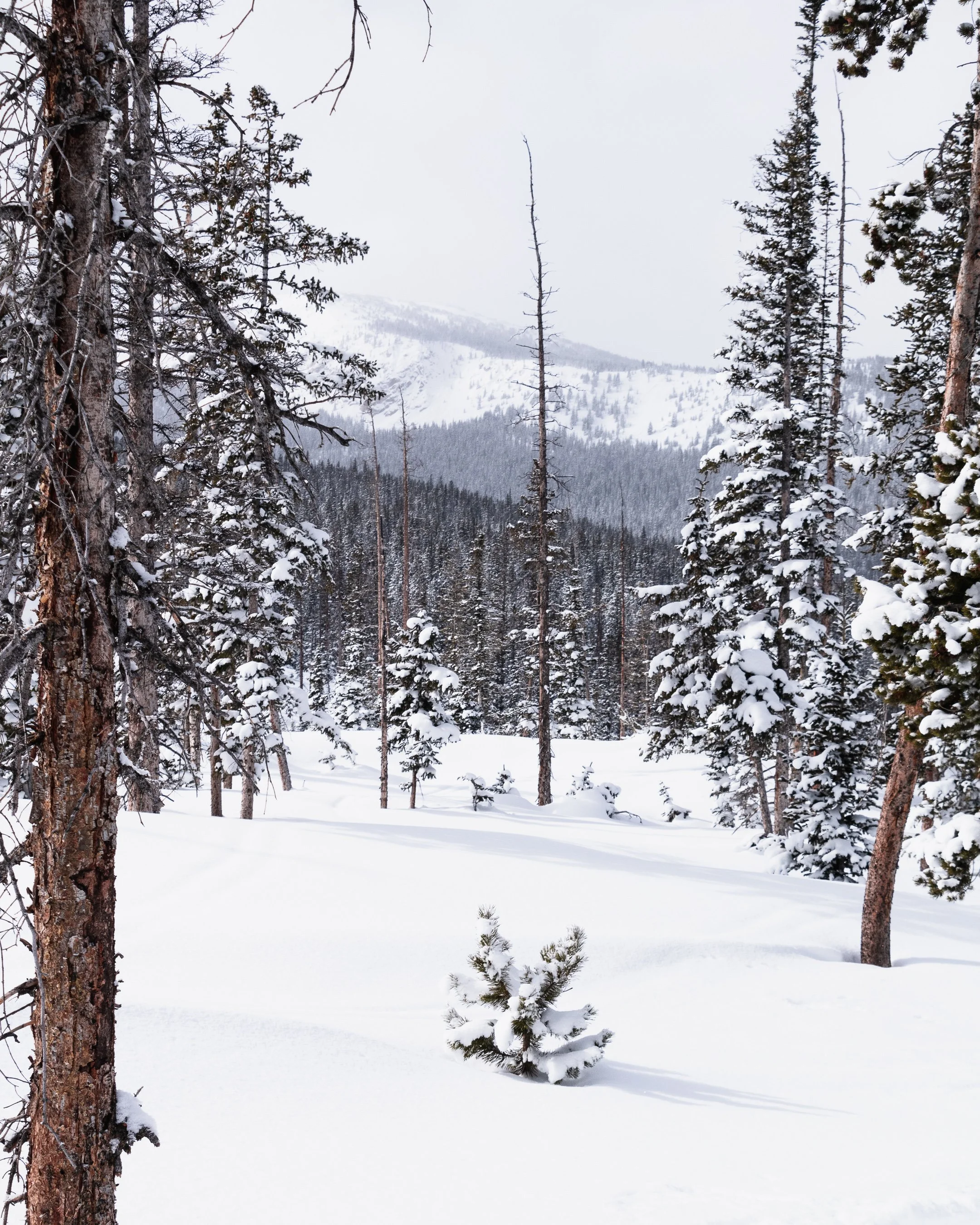 WinterPark02-2024-66.jpg