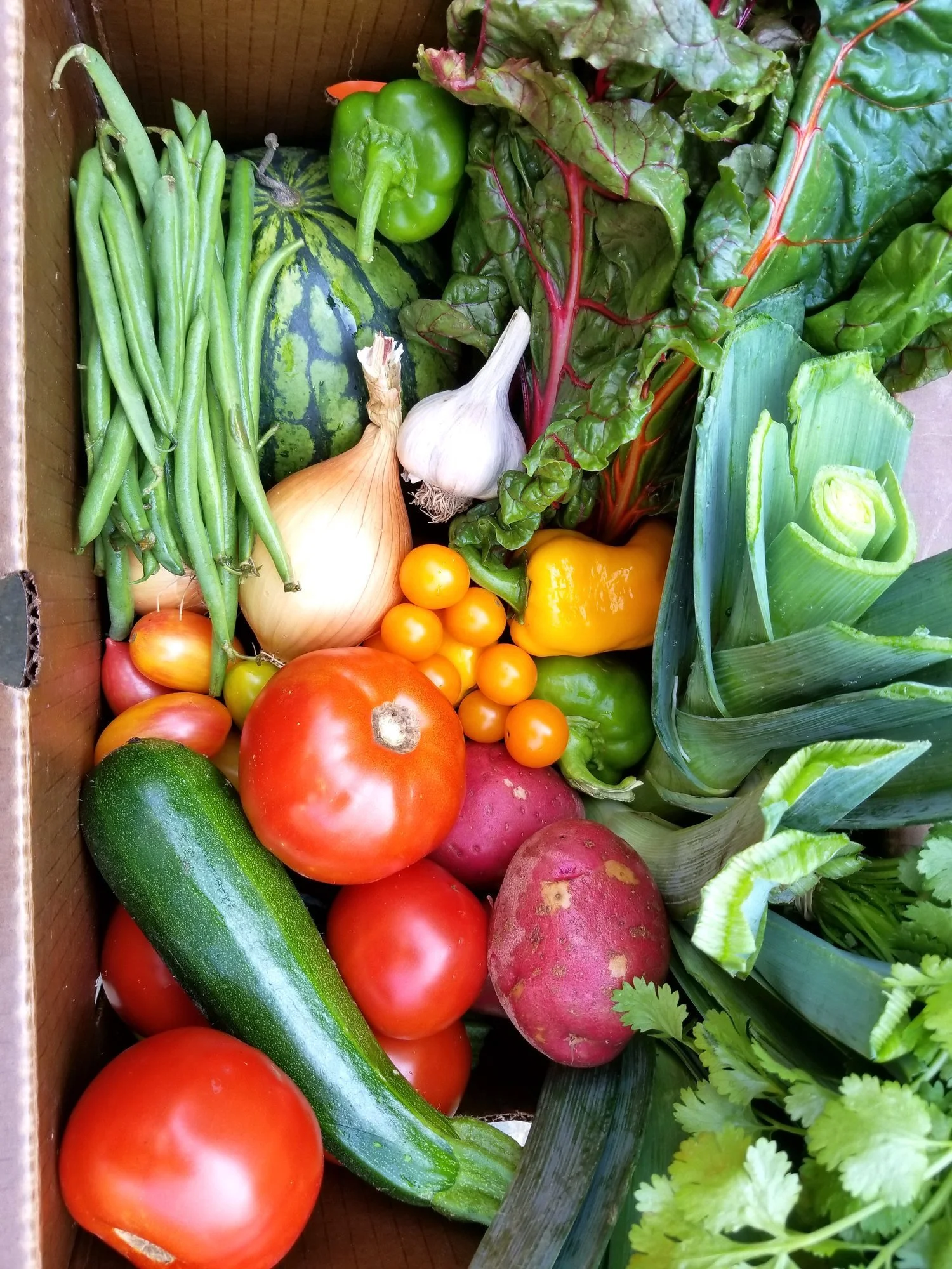 Bi-Weekly Veg Box - Full Payment