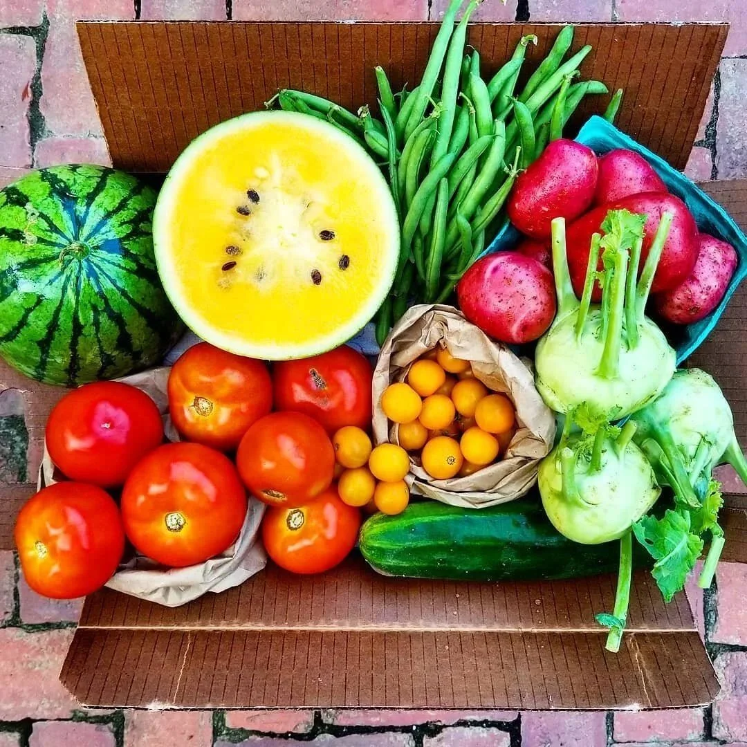 59934554_2662573703816626_4572265653238497280_o.png (Copy)