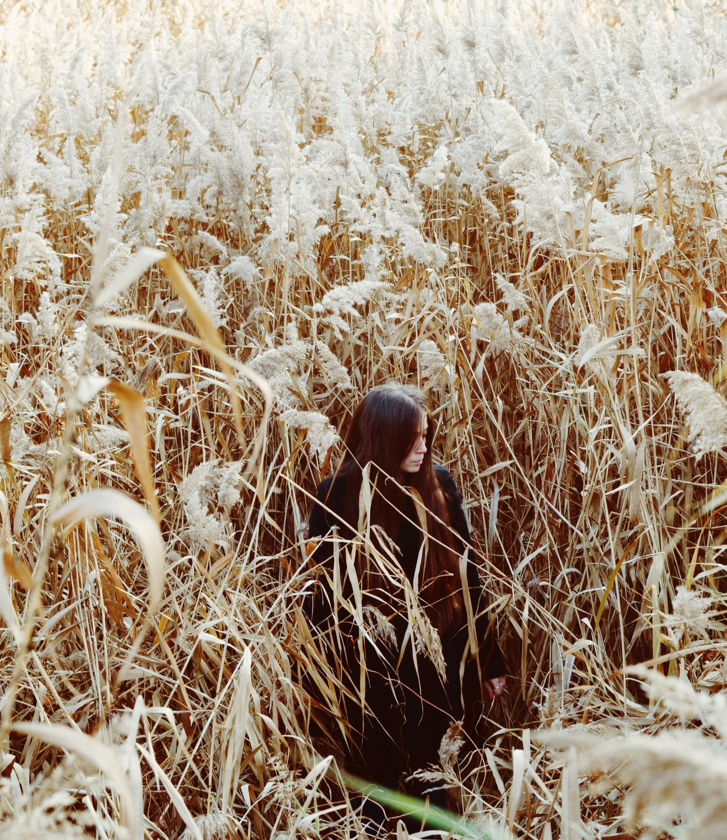 photo (9).jpg