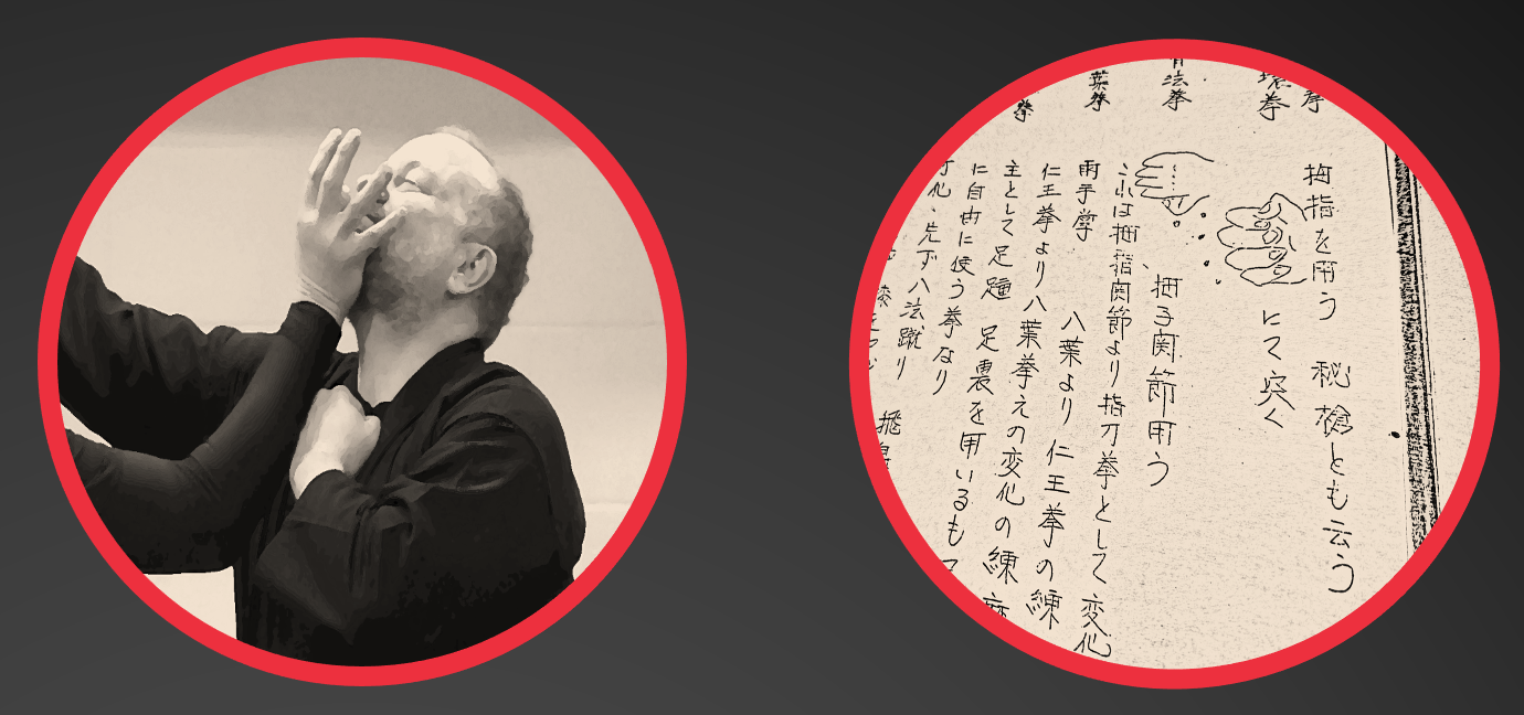 Fundamental Budo Taijutsu Striking Workshop