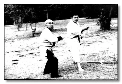 Shurikenjutsu.jpg