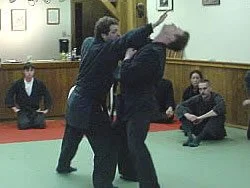 seandojo.jpg